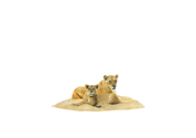 Original artwork pencil drawing of a lioness and juvenile by South African wildlife artist Matthew Bell on Fabriano Academia paper