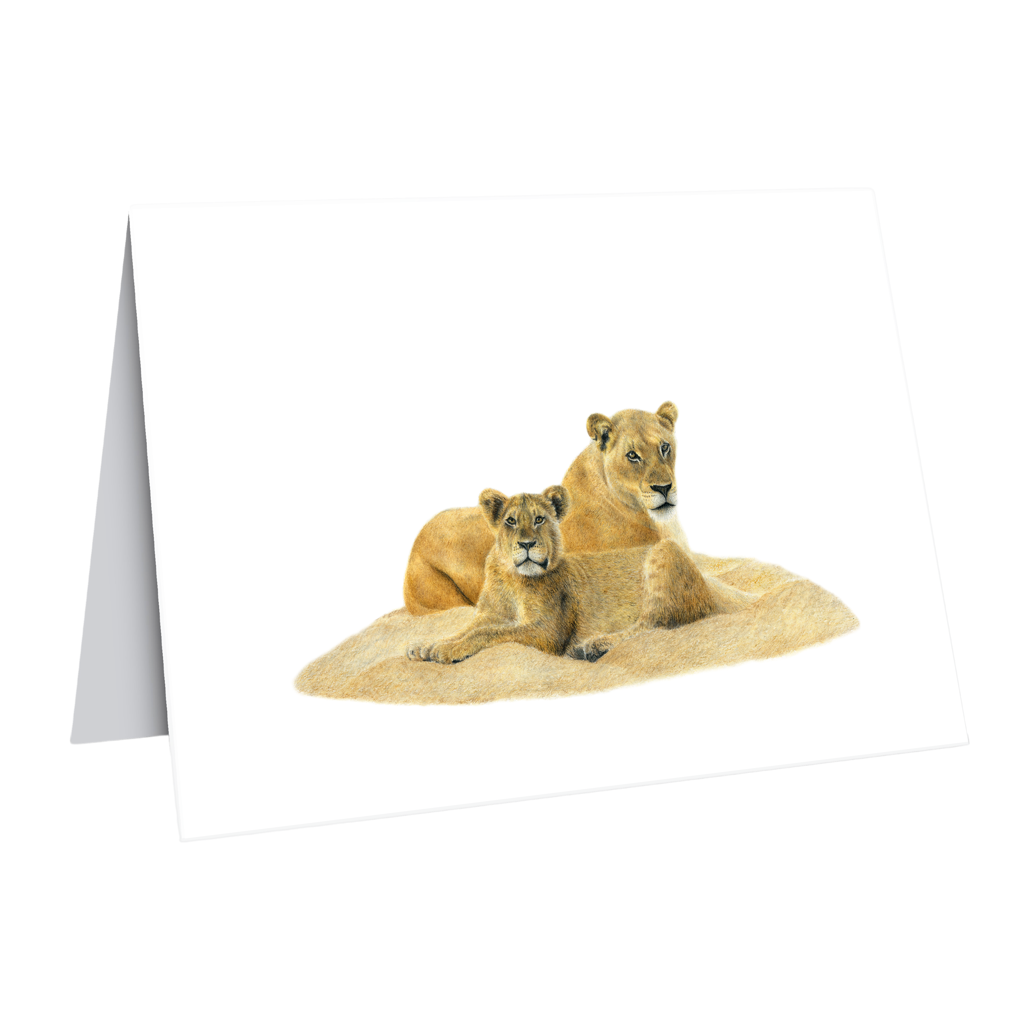 Lion greeting card