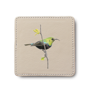 Marico Sunbird Bird leather coaster by South African wildlife artist Matthew Bell