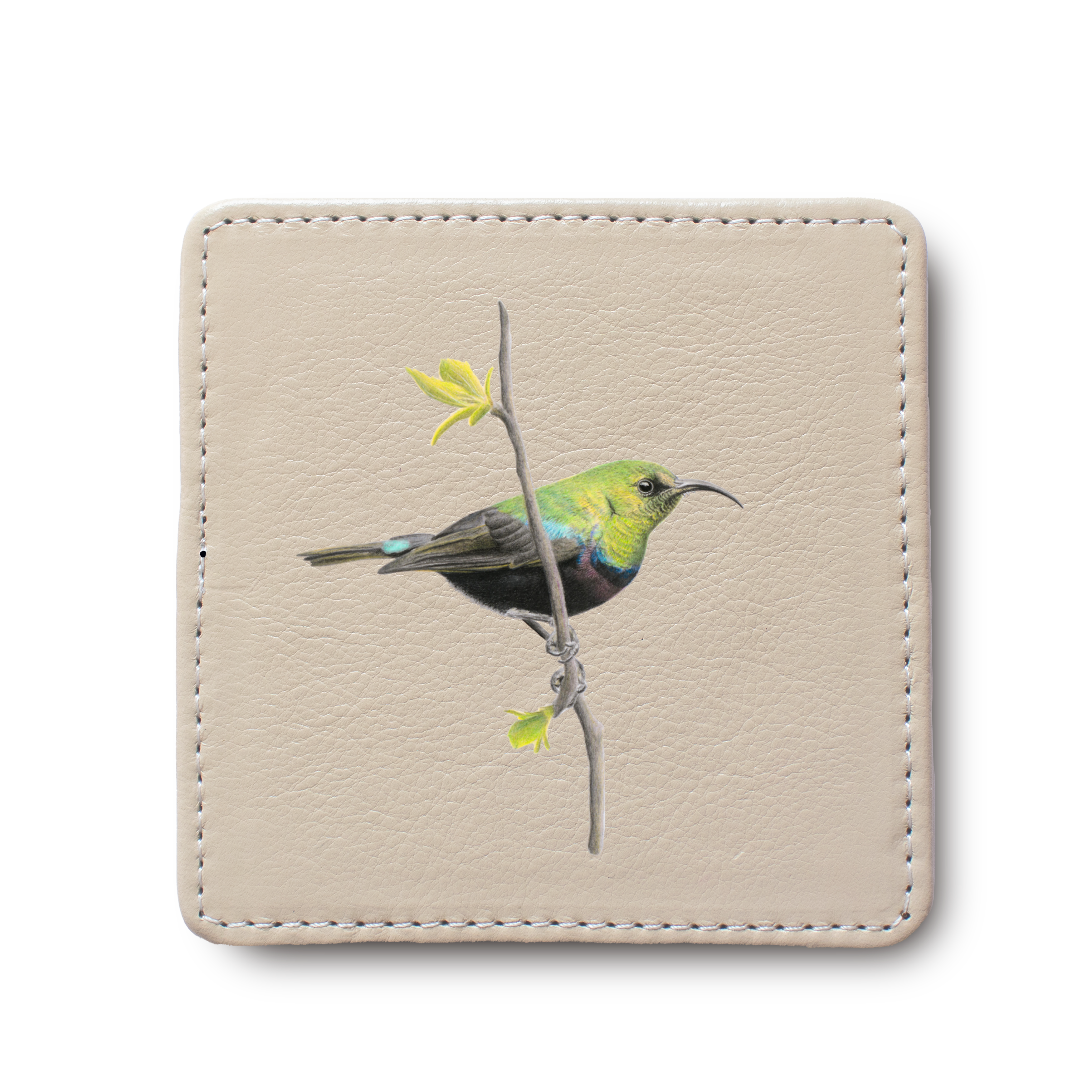 Marico Sunbird Bird leather coaster by South African wildlife artist Matthew Bell