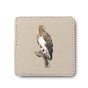 Martial Eagle Bird leather coaster by South African wildlife artist Matthew Bell