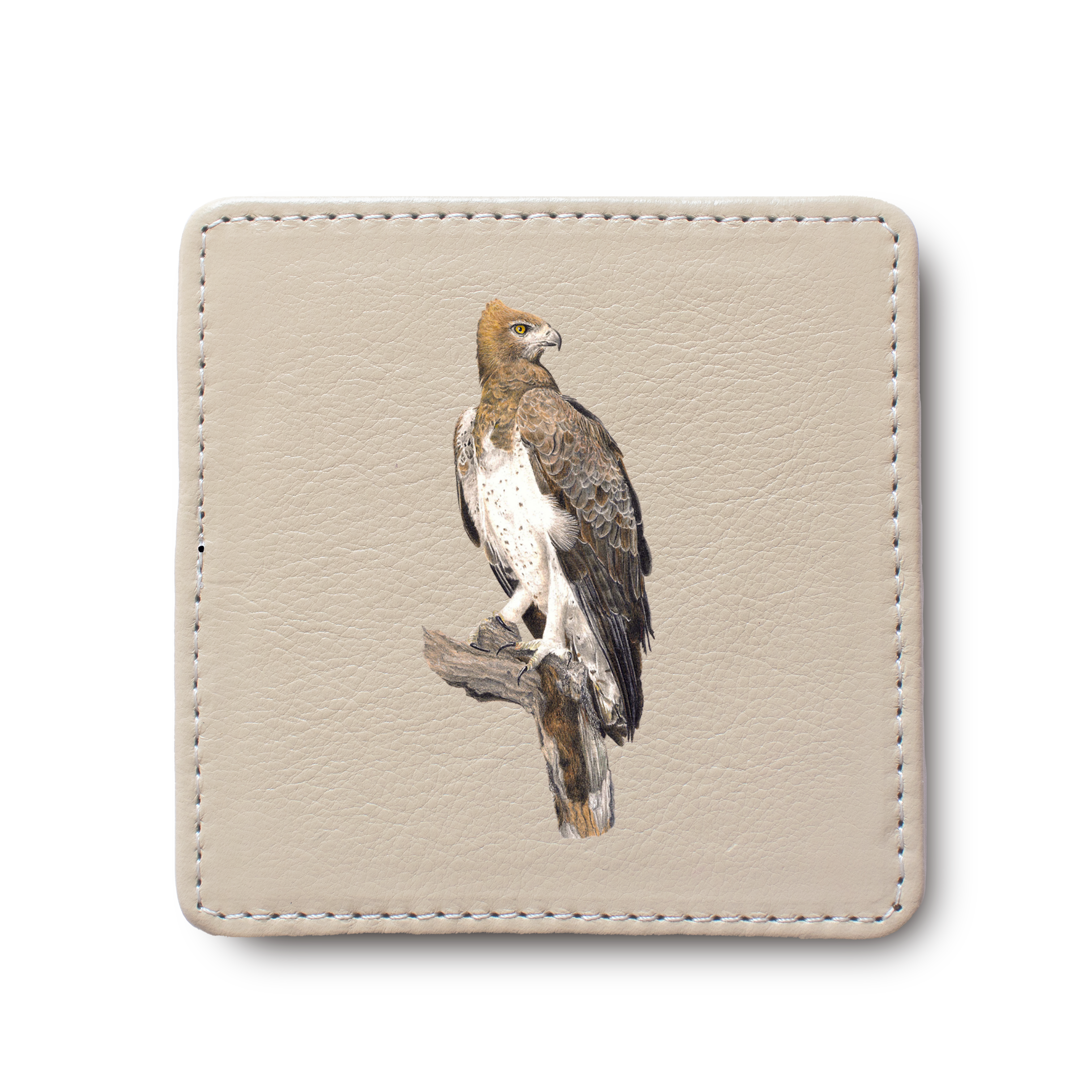 Martial Eagle Bird leather coaster by South African wildlife artist Matthew Bell