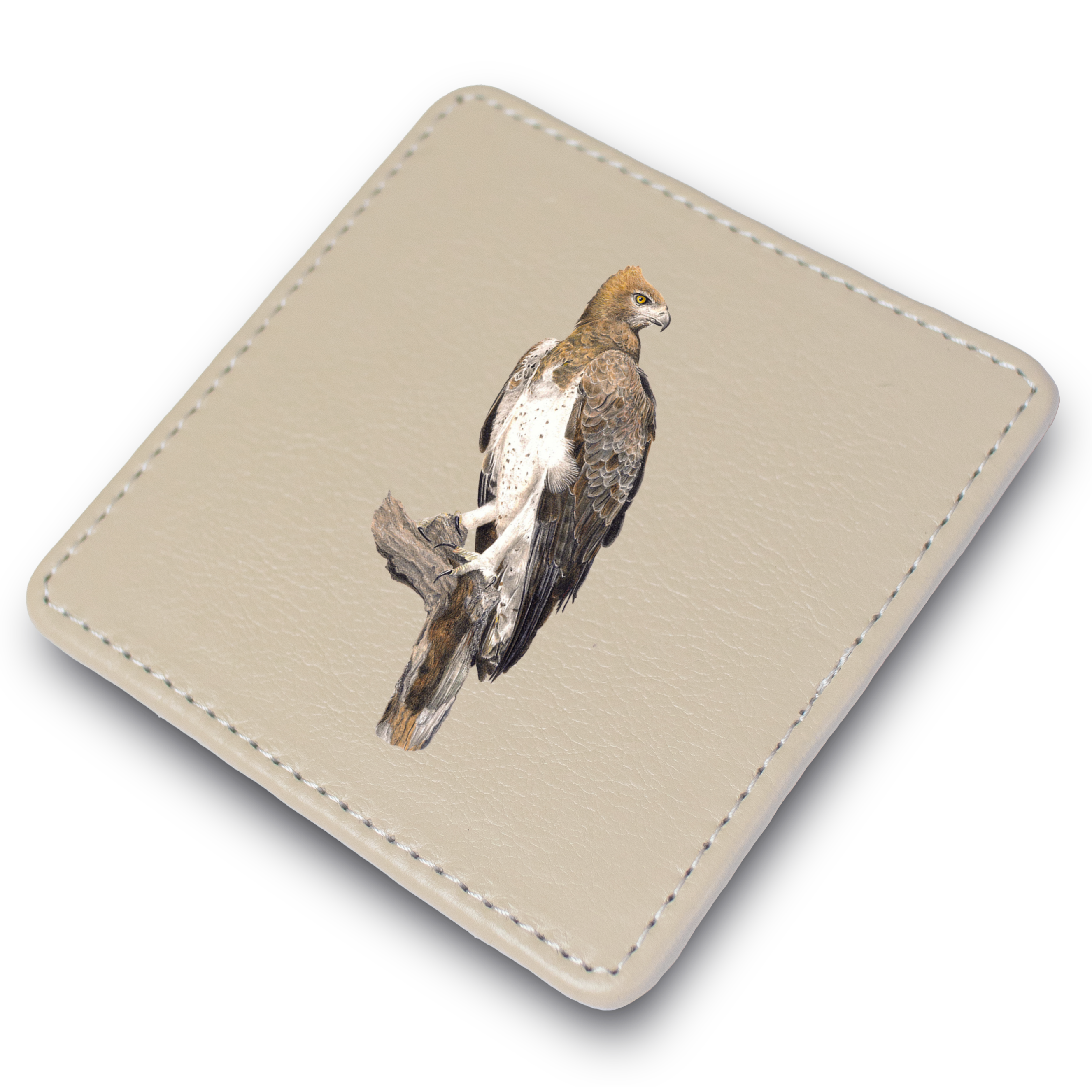 Martial Eagle Leather Coaster