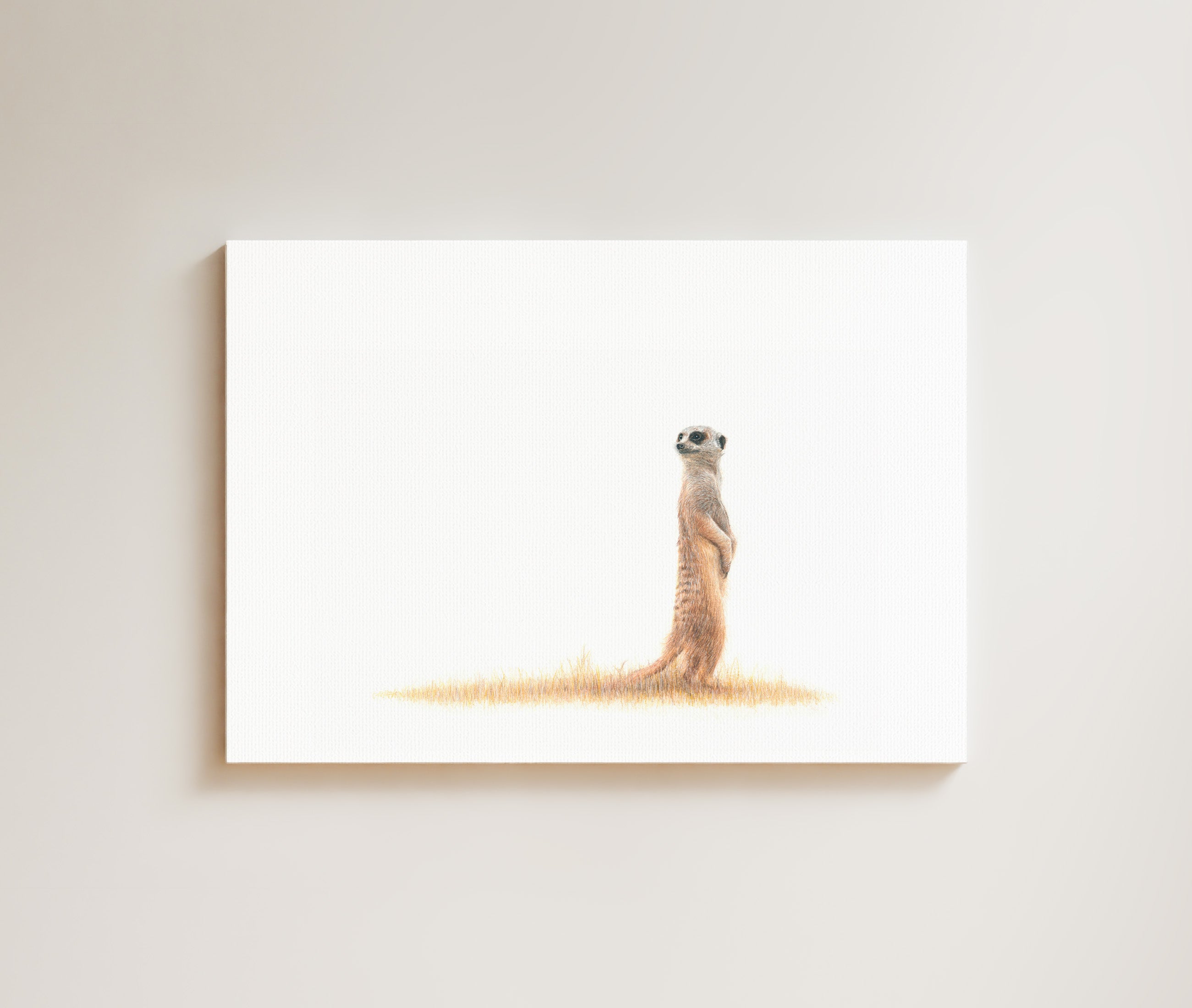 Meerkat drawing on canvas by South African wildlife artist Matthew Bell