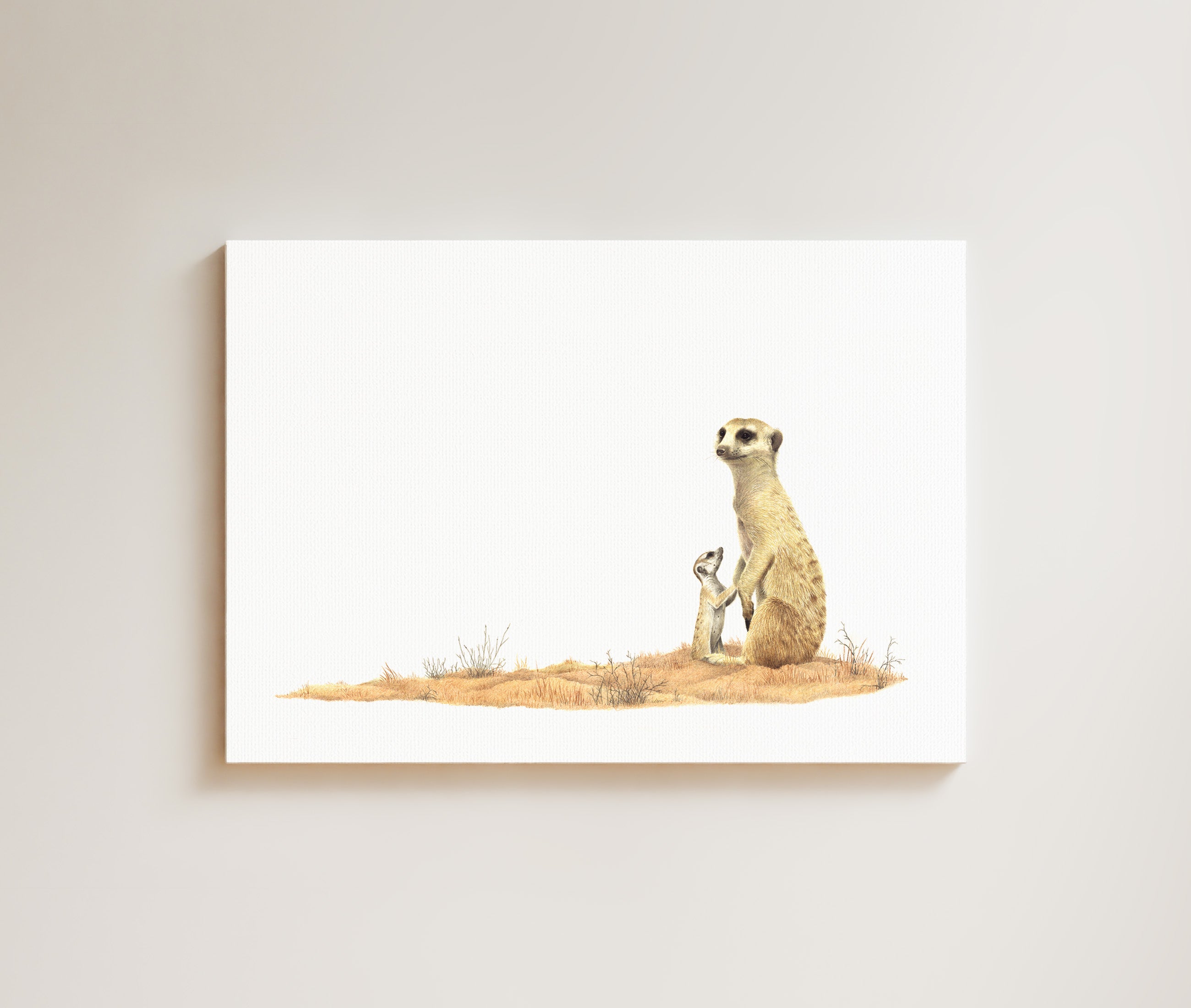 Meerkat Mother and Baby drawing on canvas by South African wildlife artist Matthew Bell
