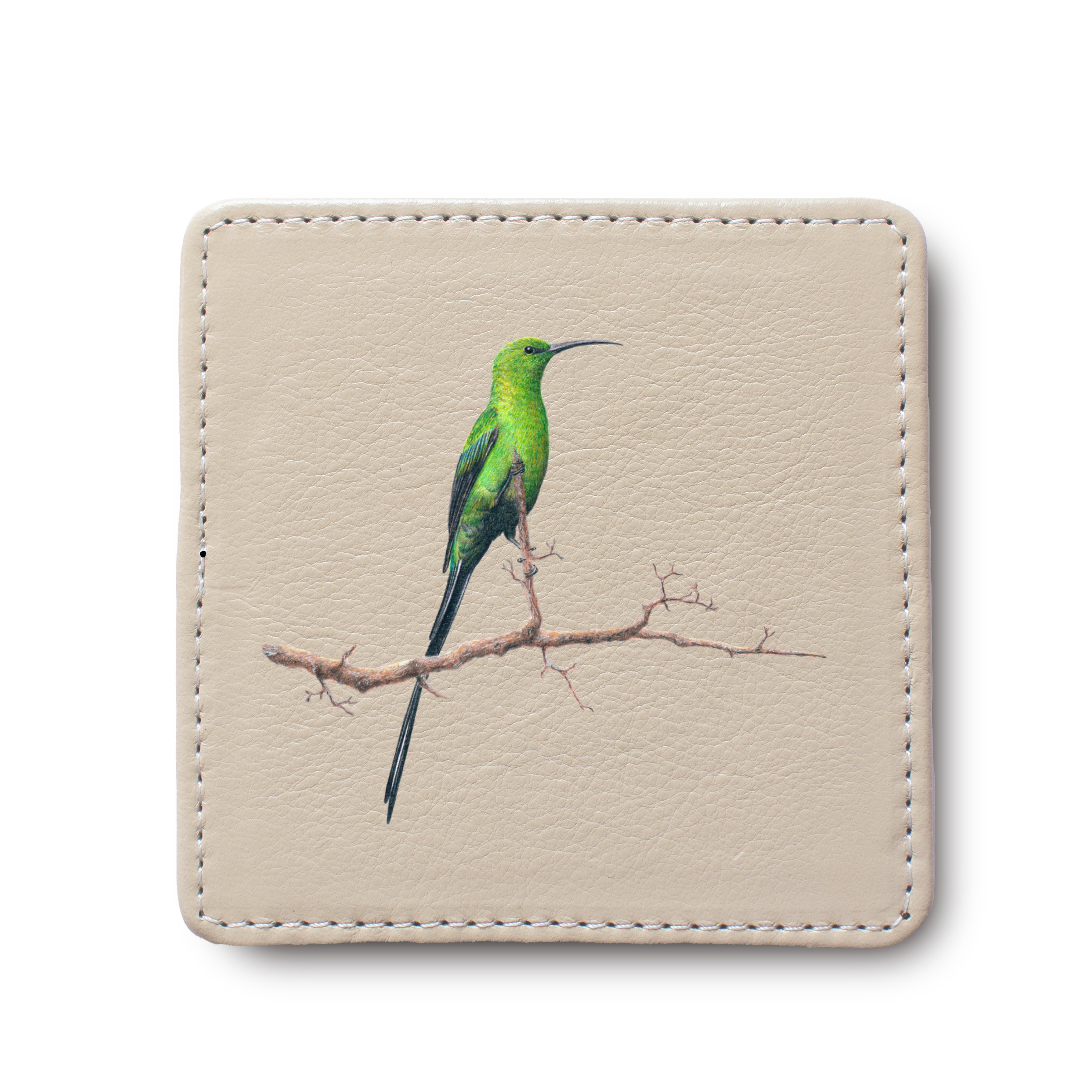 Malachite Sunbird Bird leather coaster by South African wildlife artist Matthew Bell