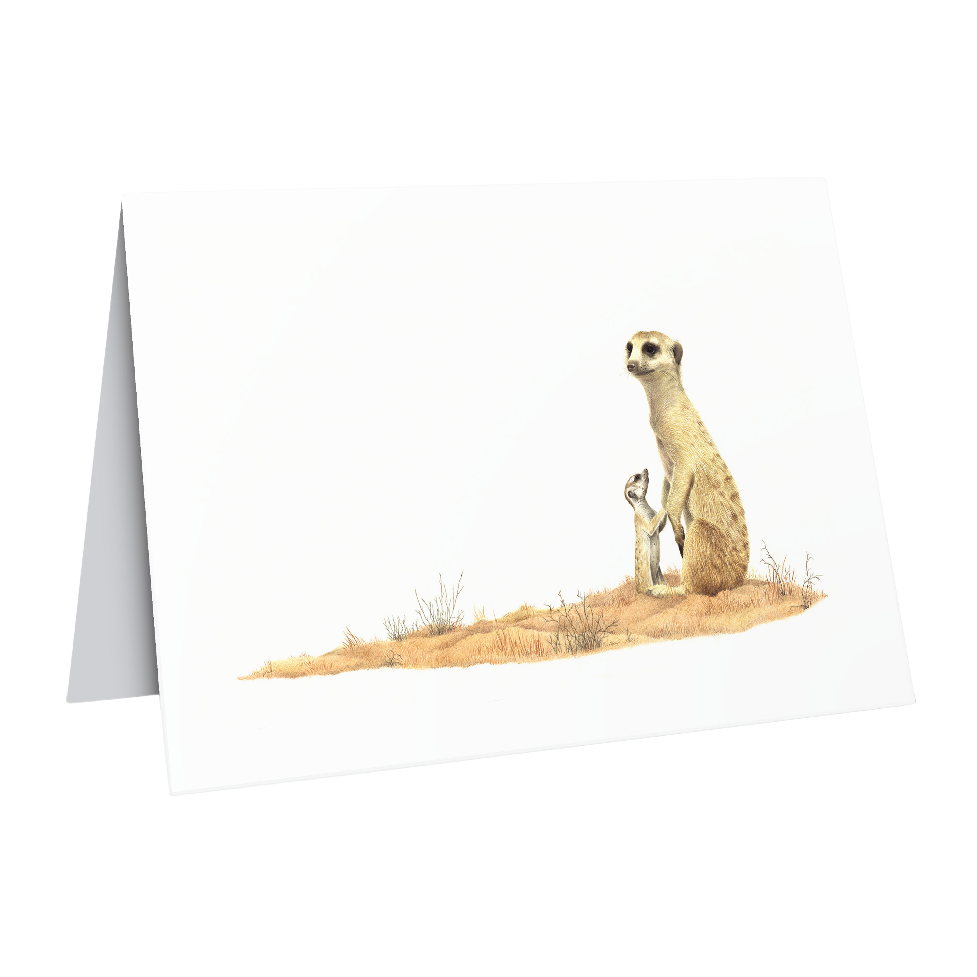 Beautiful fine art South African nature wildlife greeting card of a Mother and baby meerkat