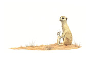 Stretched canvas print on a wooden frame by South African wildlife artist Matthew Bell of a Meerkat mother and baby
