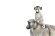 Canvas artwork of mother and baby baboons