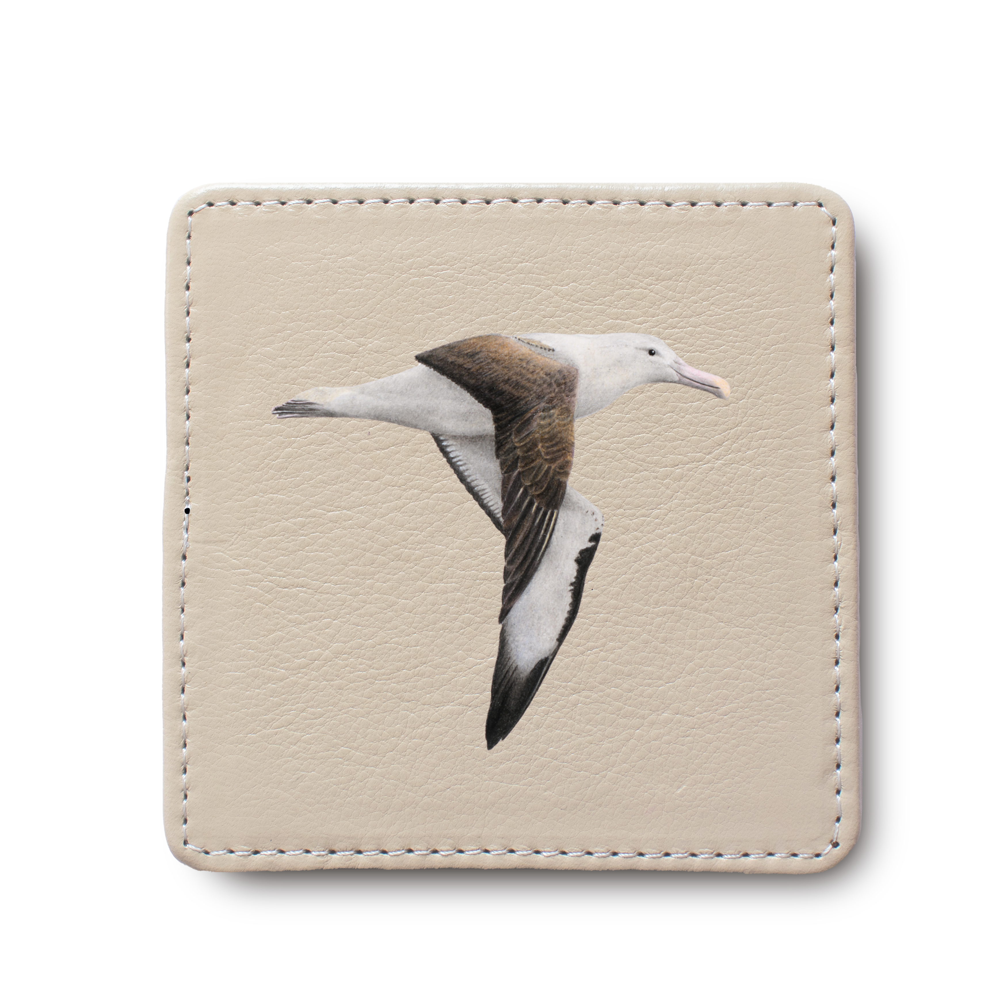 Northern Royal Albatross Bird leather coaster by South African wildlife artist Matthew Bell