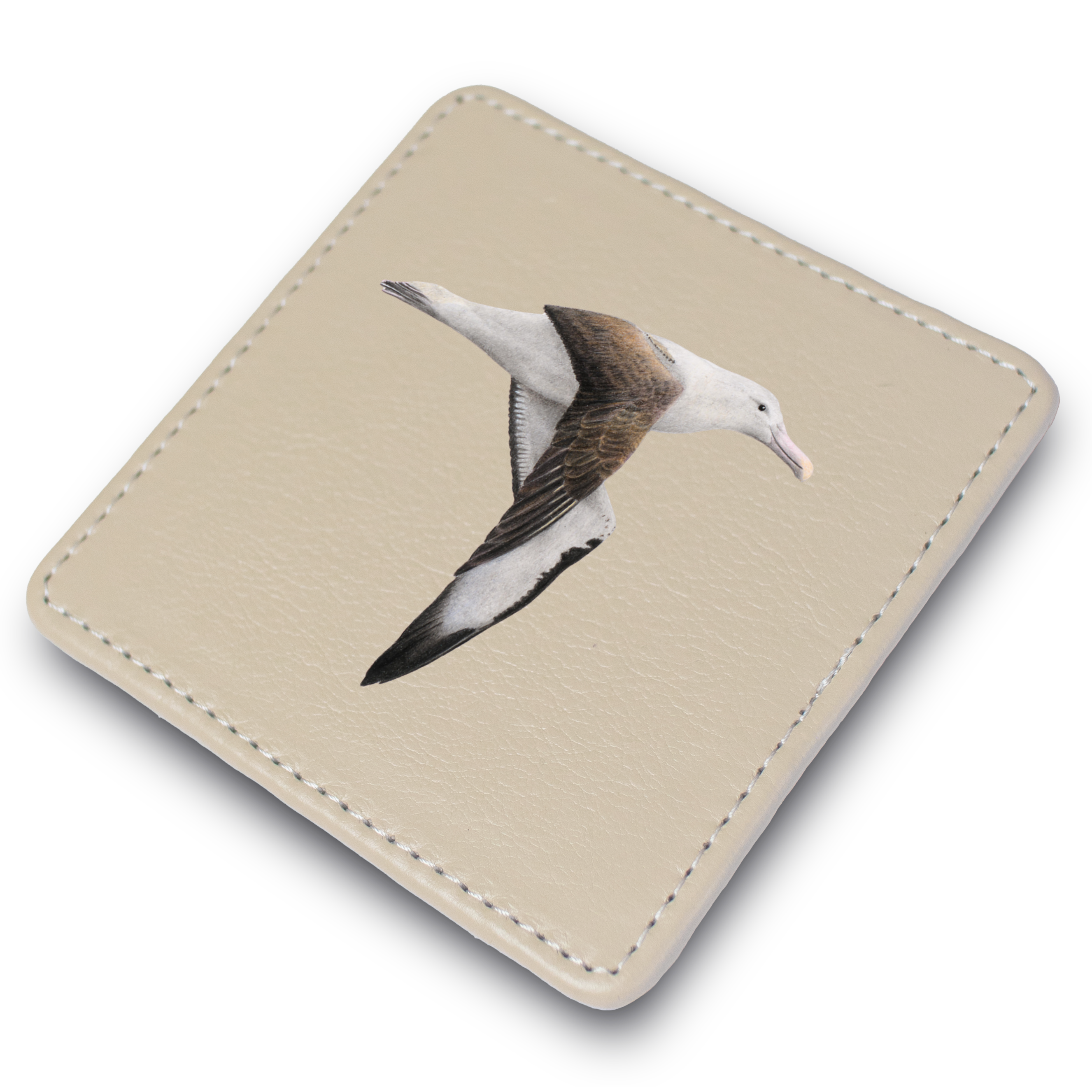 Northern Royal Albatross Leather Coaster