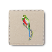 Narina Trogon Bird leather coaster by South African wildlife artist Matthew Bell