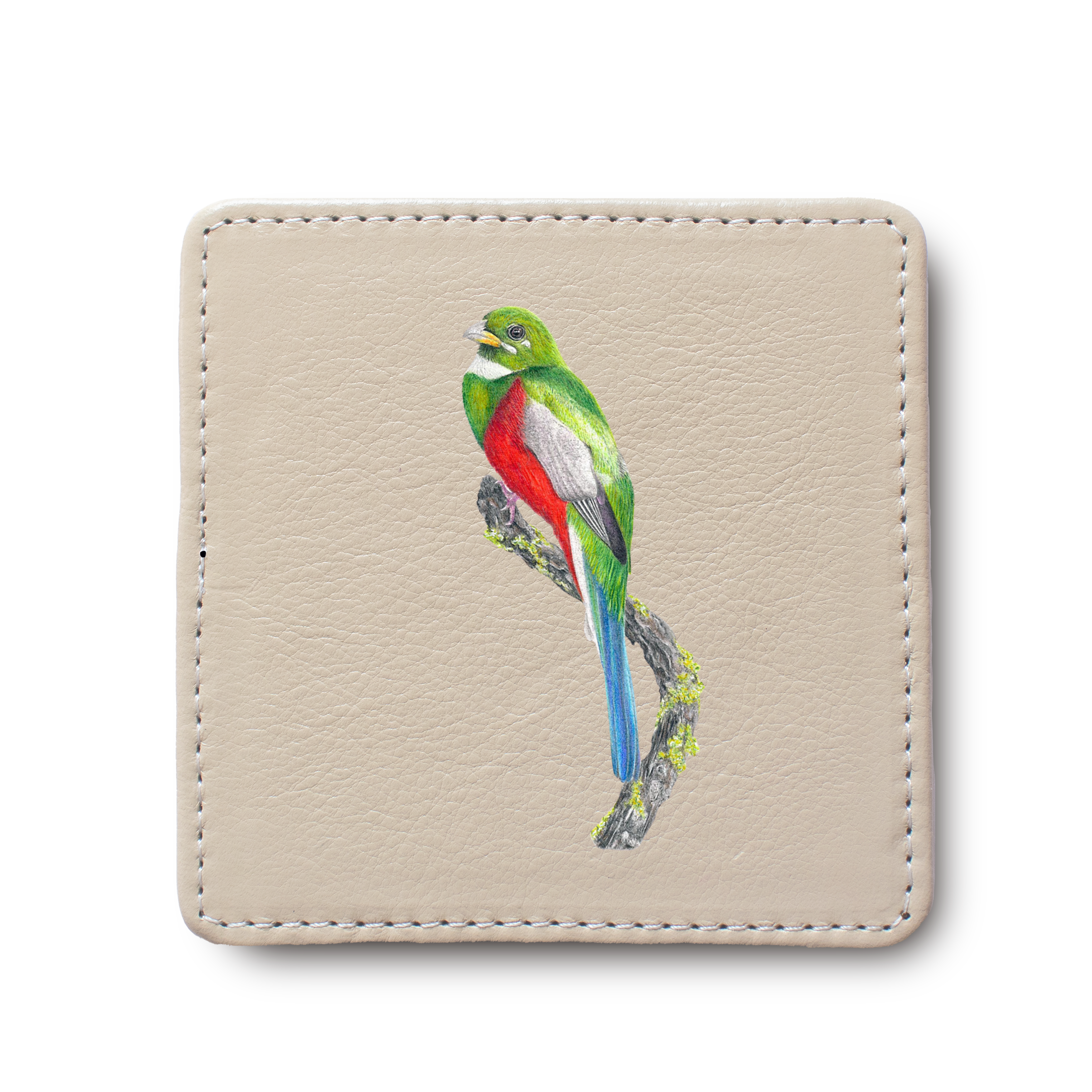 Narina Trogon Bird leather coaster by South African wildlife artist Matthew Bell