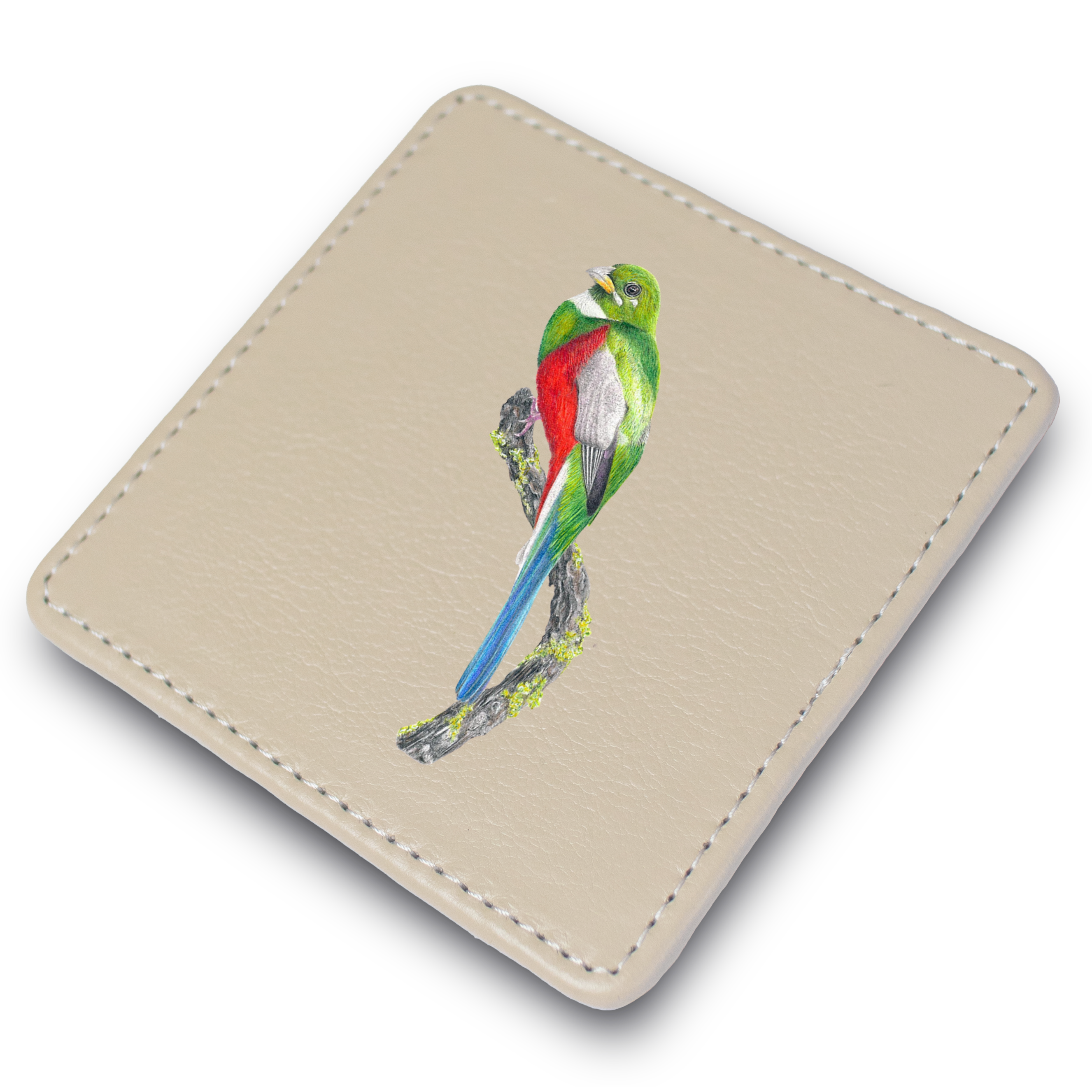 Narina Trogon Leather Coaster