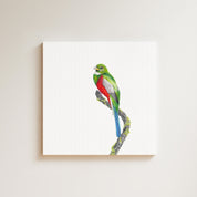 Narina Trogon drawing on canvas by South African wildlife artist Matthew Bell
