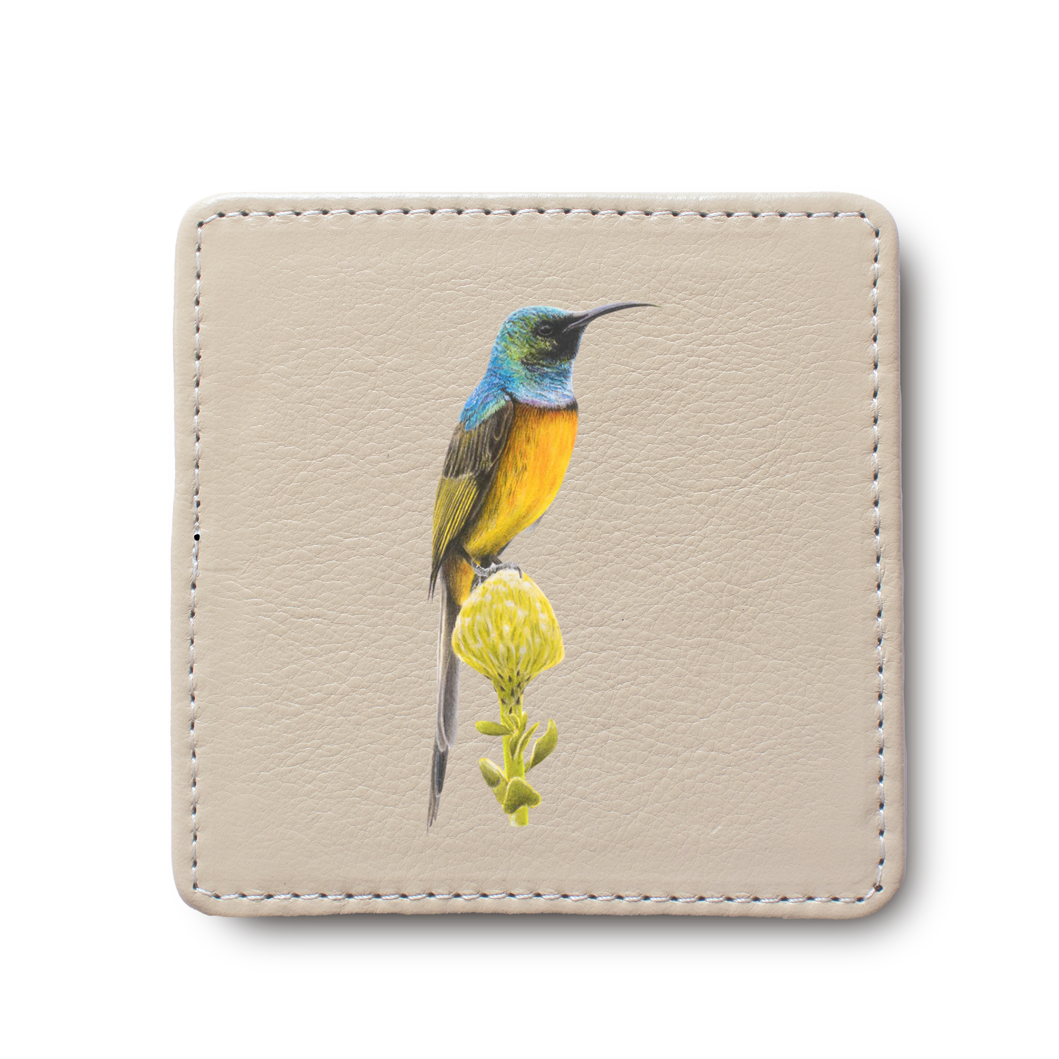 Orange Breasted Sunbird Bird leather coaster by South African wildlife artist Matthew Bell