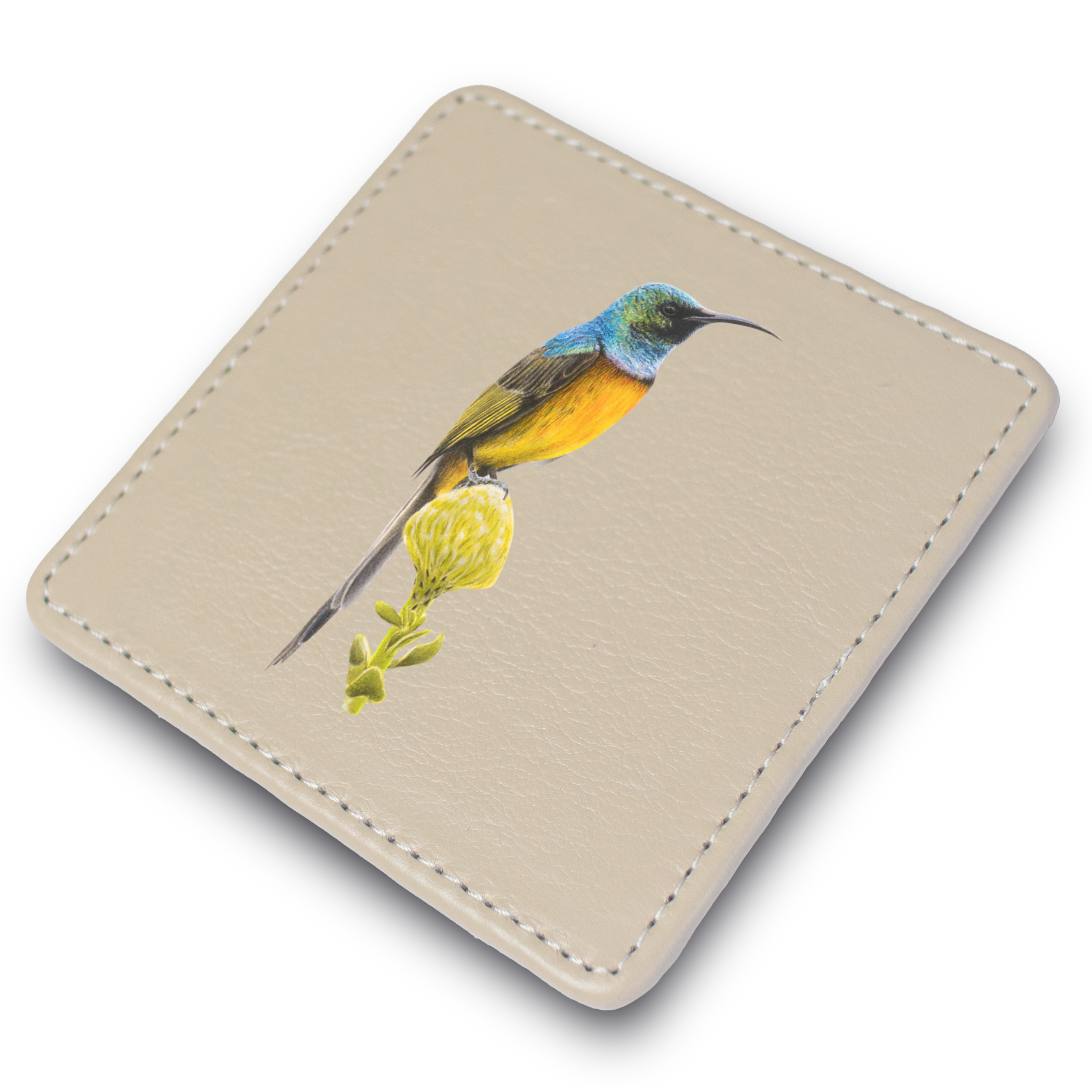 Orange Breasted Sunbird Leather Coaster