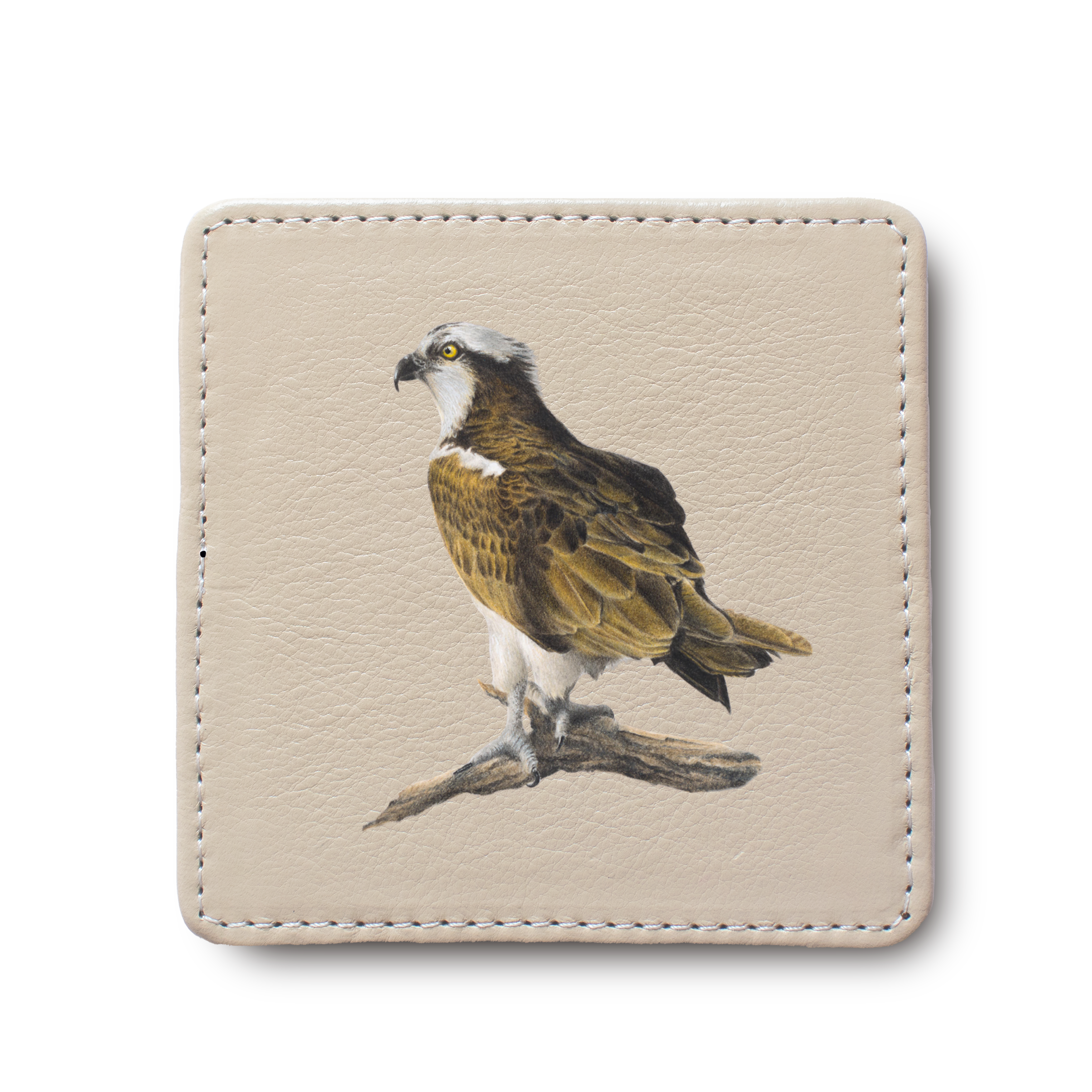 Osprey Bird leather coaster by South African wildlife artist Matthew Bell