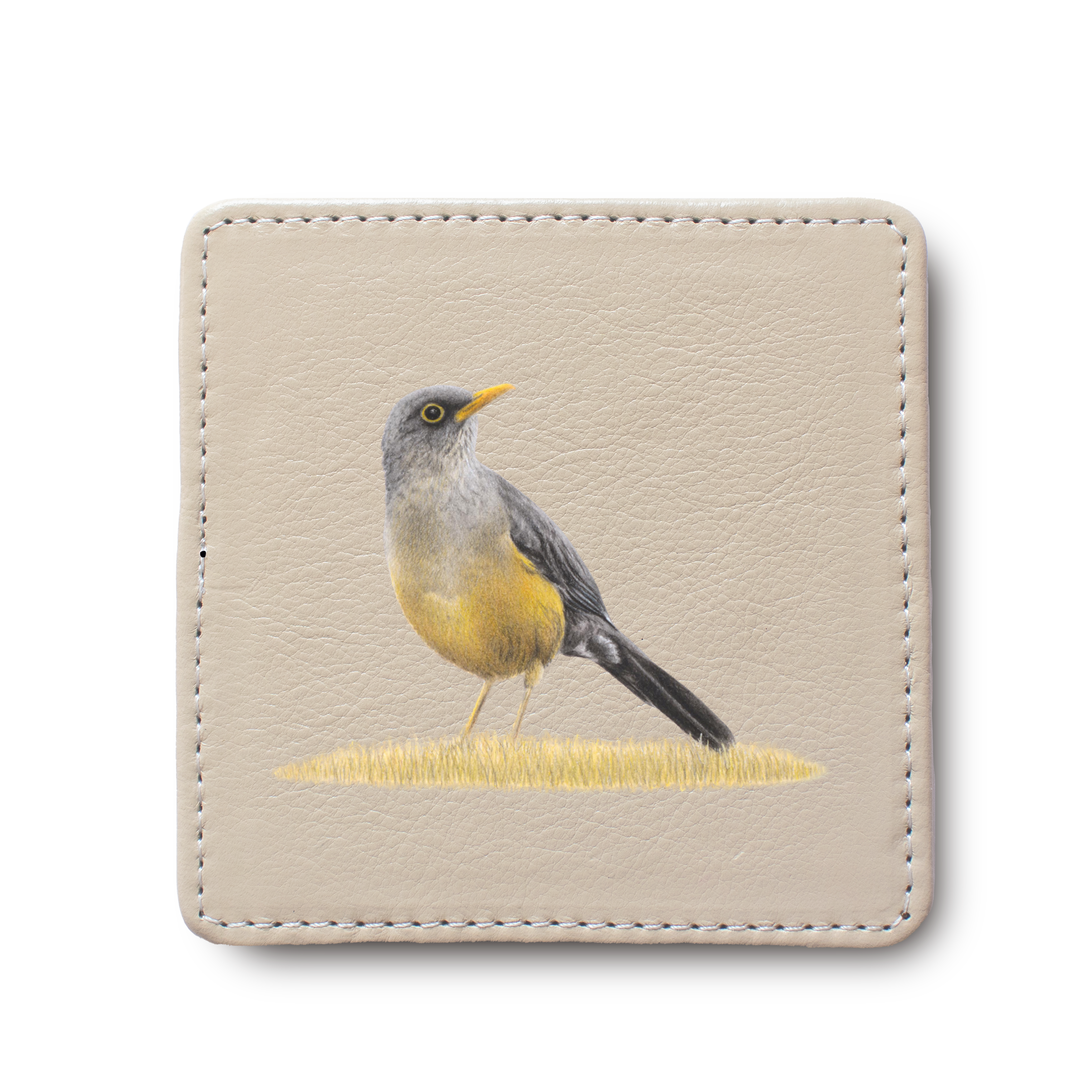 Olive Thrush Bird leather coaster by South African wildlife artist Matthew Bell