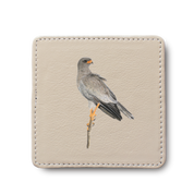 Pale Chanting Goshawk Leather Coaster