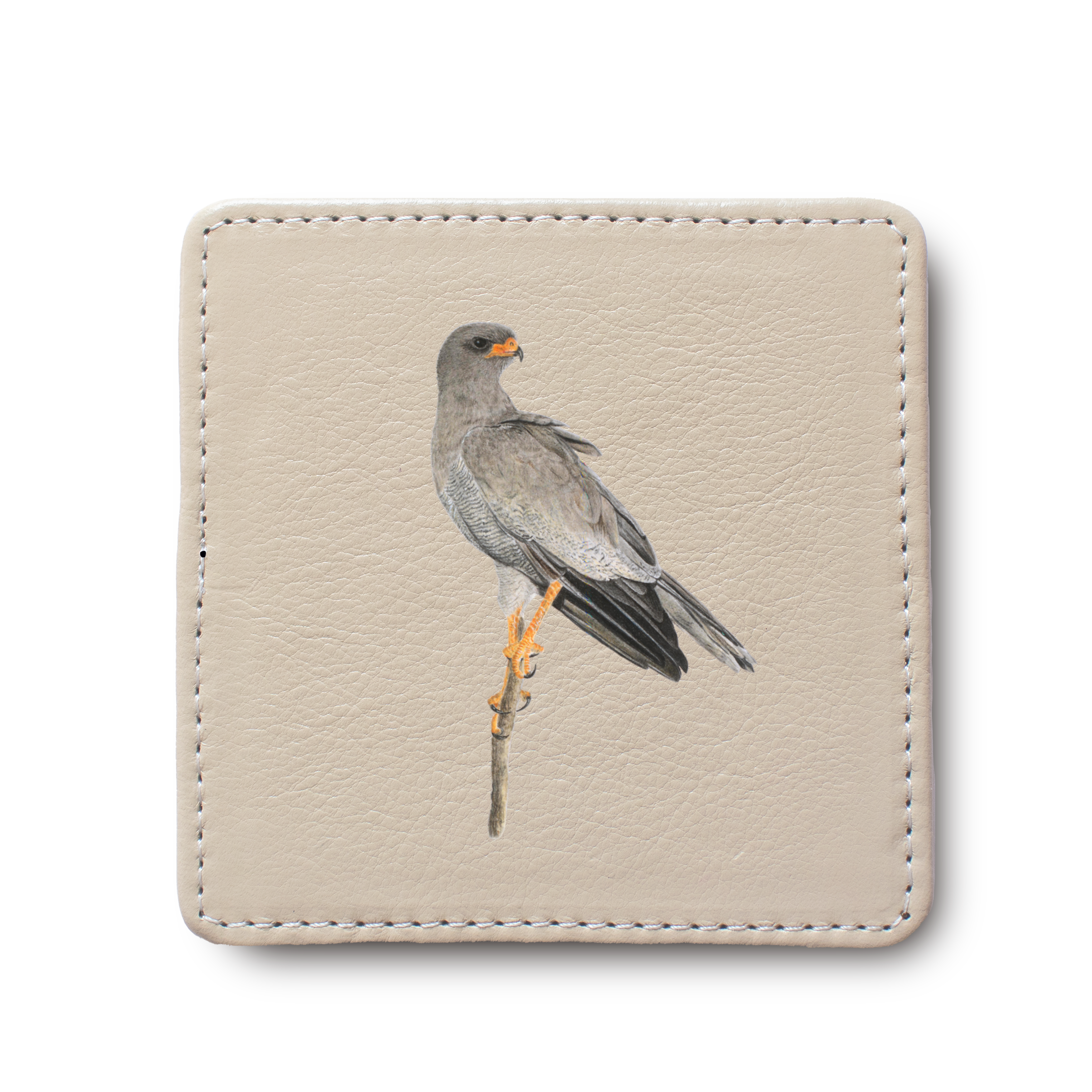 Pale Chanting Goshawk Leather Coaster