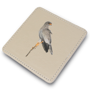 Pale Chanting Goshawk Leather Coaster