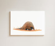 Pangolin drawing on canvas by South African wildlife artist Matthew Bell