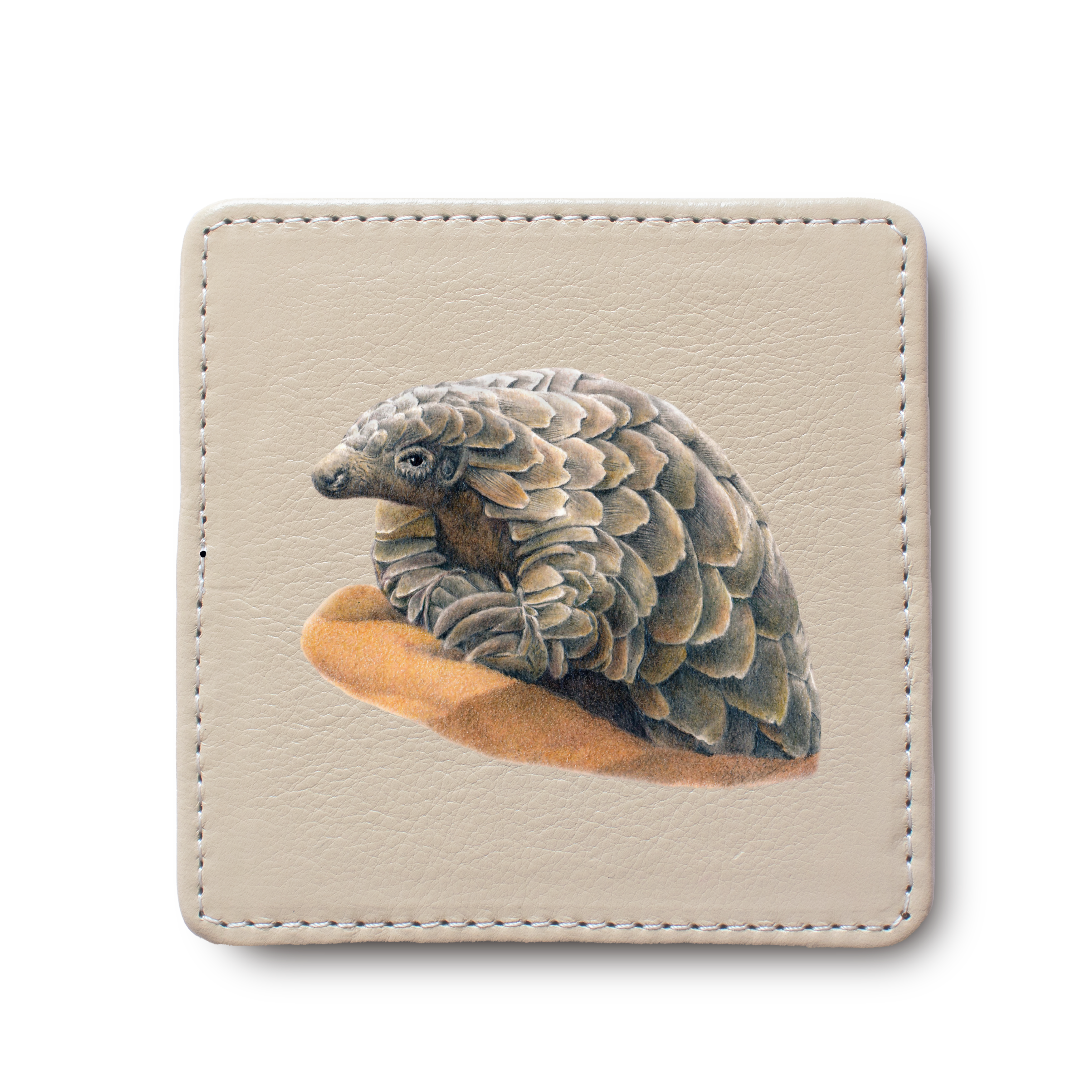 Pangolin leather coaster by South African wildlife artist Matthew Bell