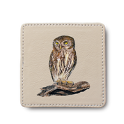 Pearl Spotted Owlet Bird leather coaster by South African wildlife artist Matthew Bell