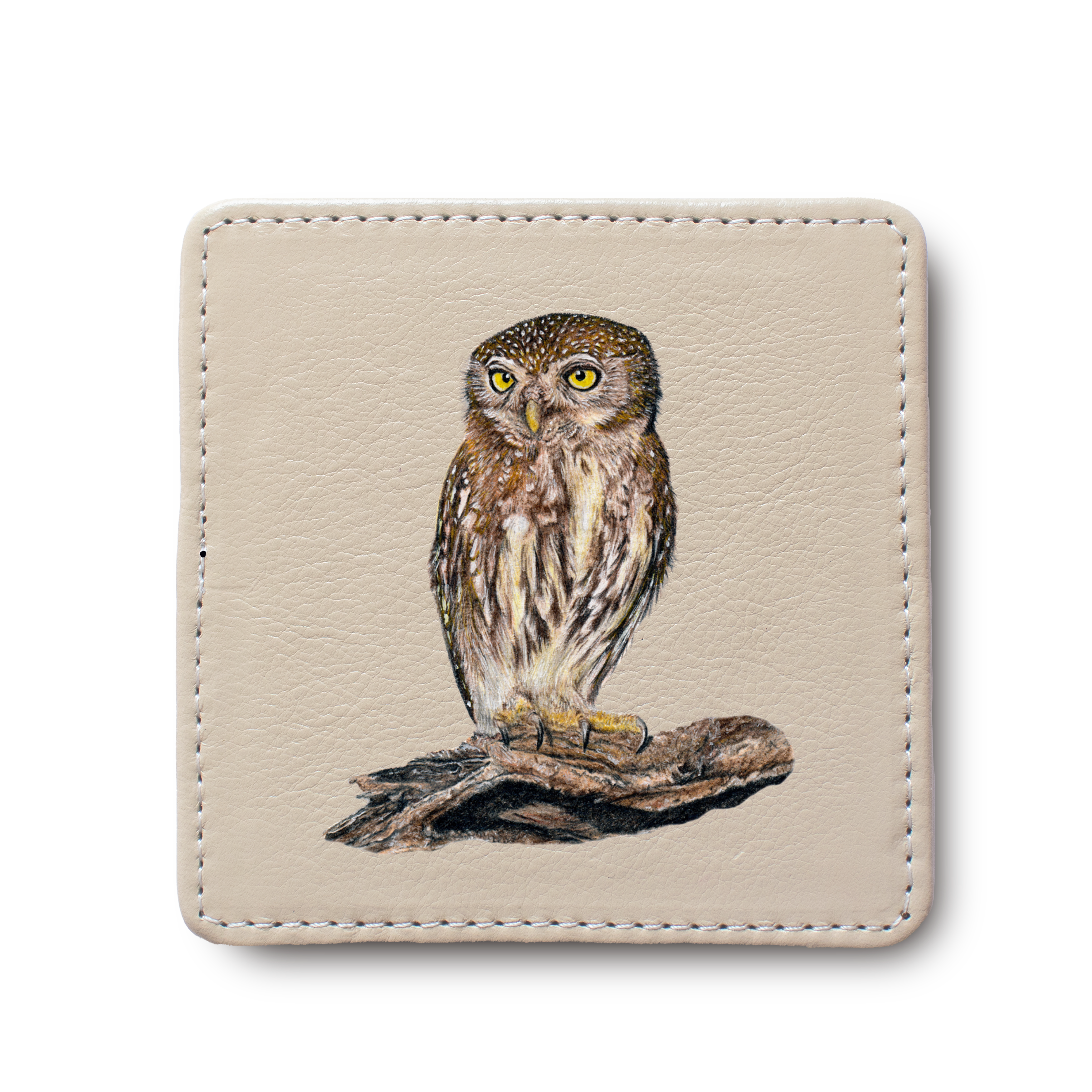 Pearl Spotted Owlet Bird leather coaster by South African wildlife artist Matthew Bell