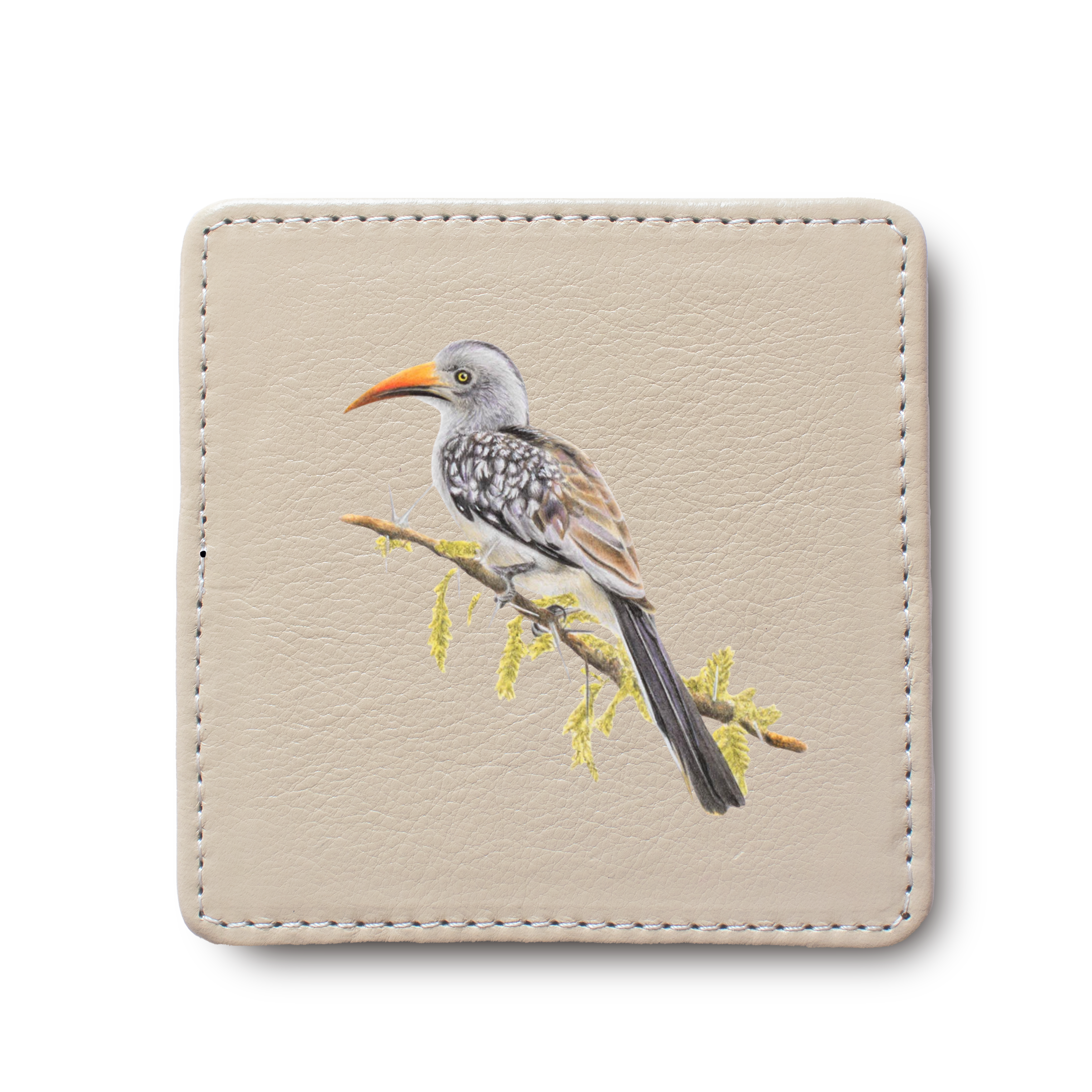 Red Billed Hornbill Bird leather coaster by South African wildlife artist Matthew Bell