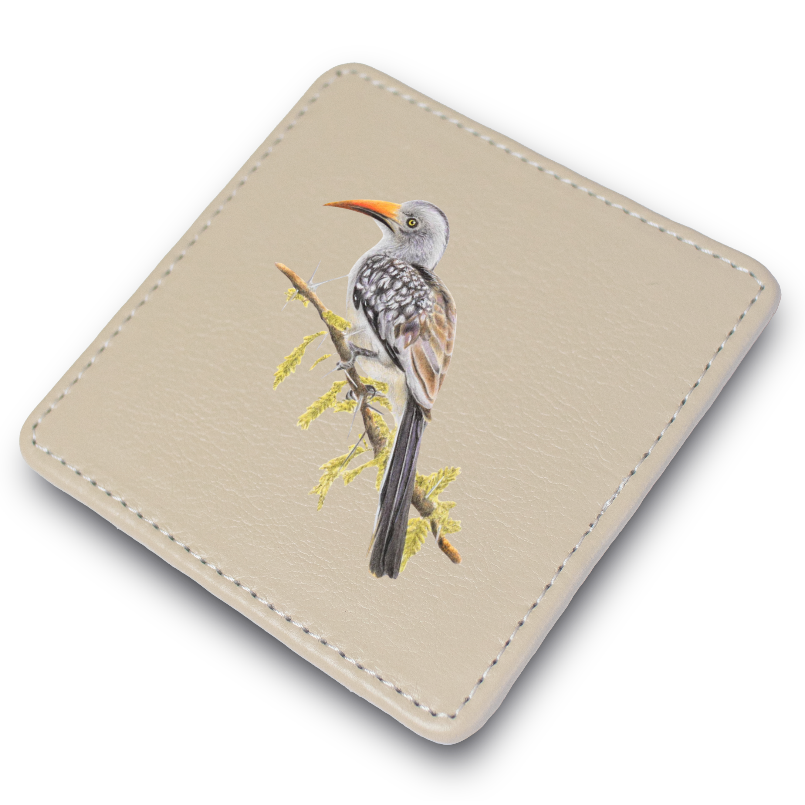 Red Billed Hornbill Leather Coaster