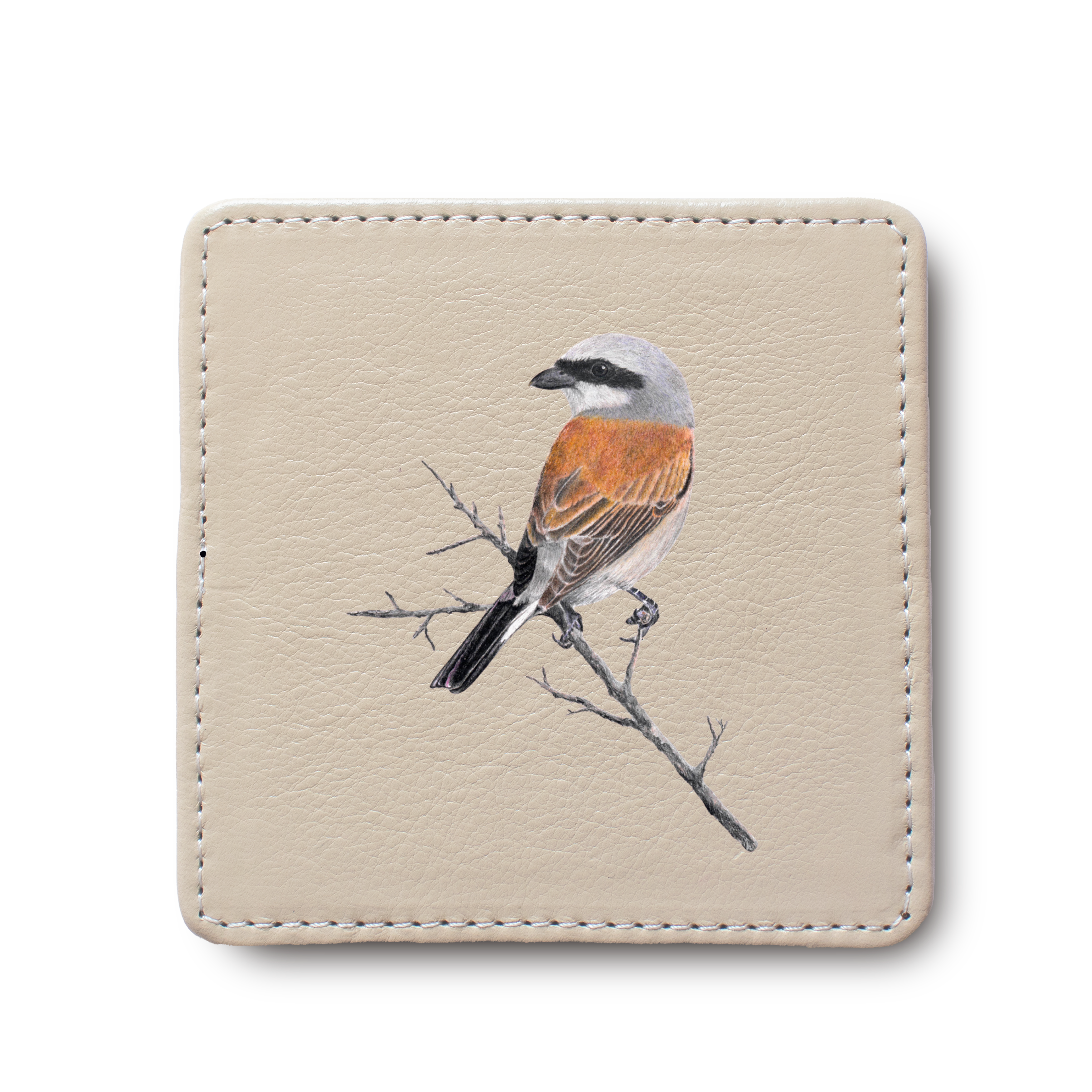 Red Backed Shrike Bird leather coaster by South African wildlife artist Matthew Bell