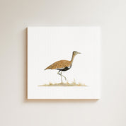 Red Crested Korhaan drawing on canvas by South African wildlife artist Matthew Bell