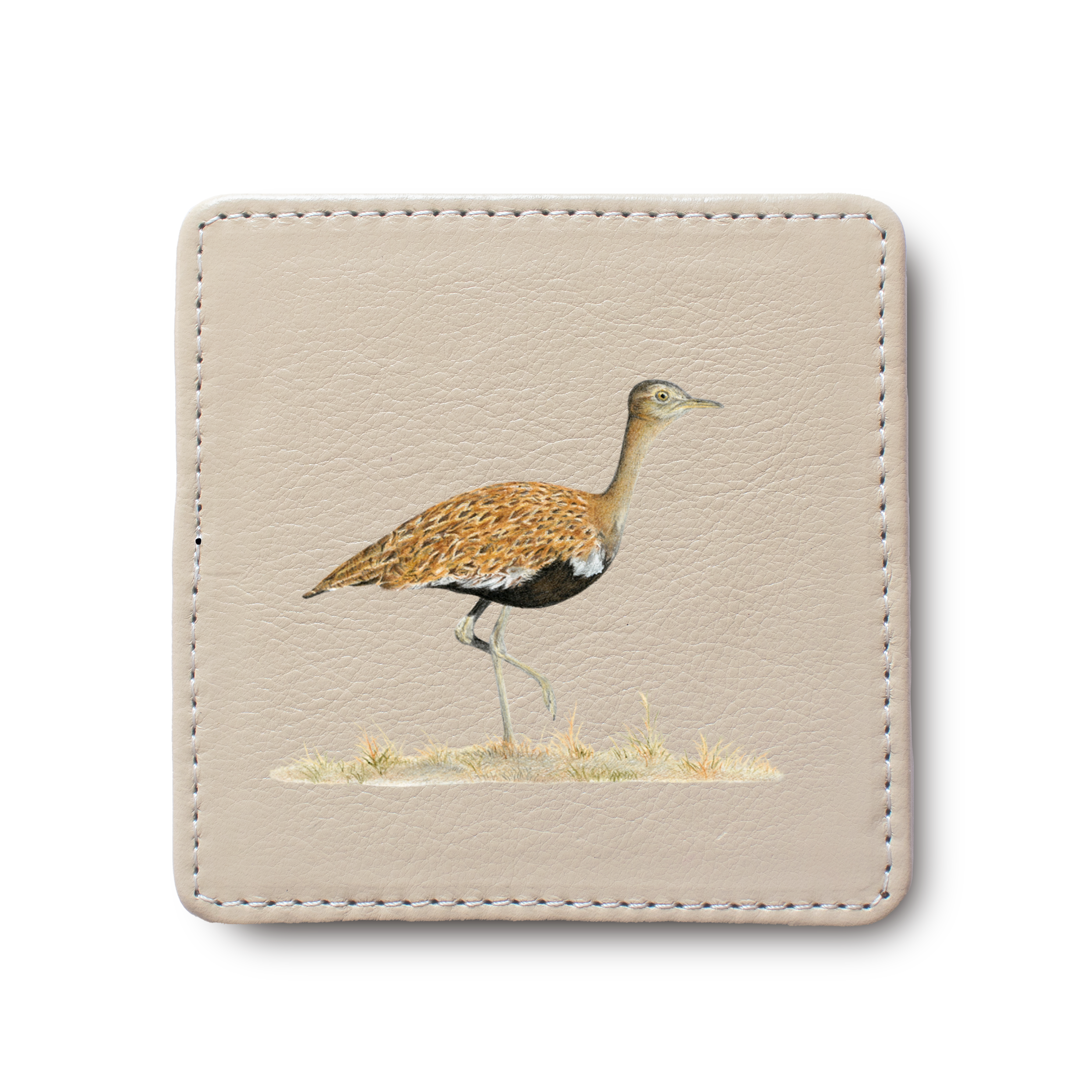Red Crested Korhaan Bird leather coaster by South African wildlife artist Matthew Bell