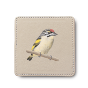 Red Fronted Tinkerbird Bird leather coaster by South African wildlife artist Matthew Bell