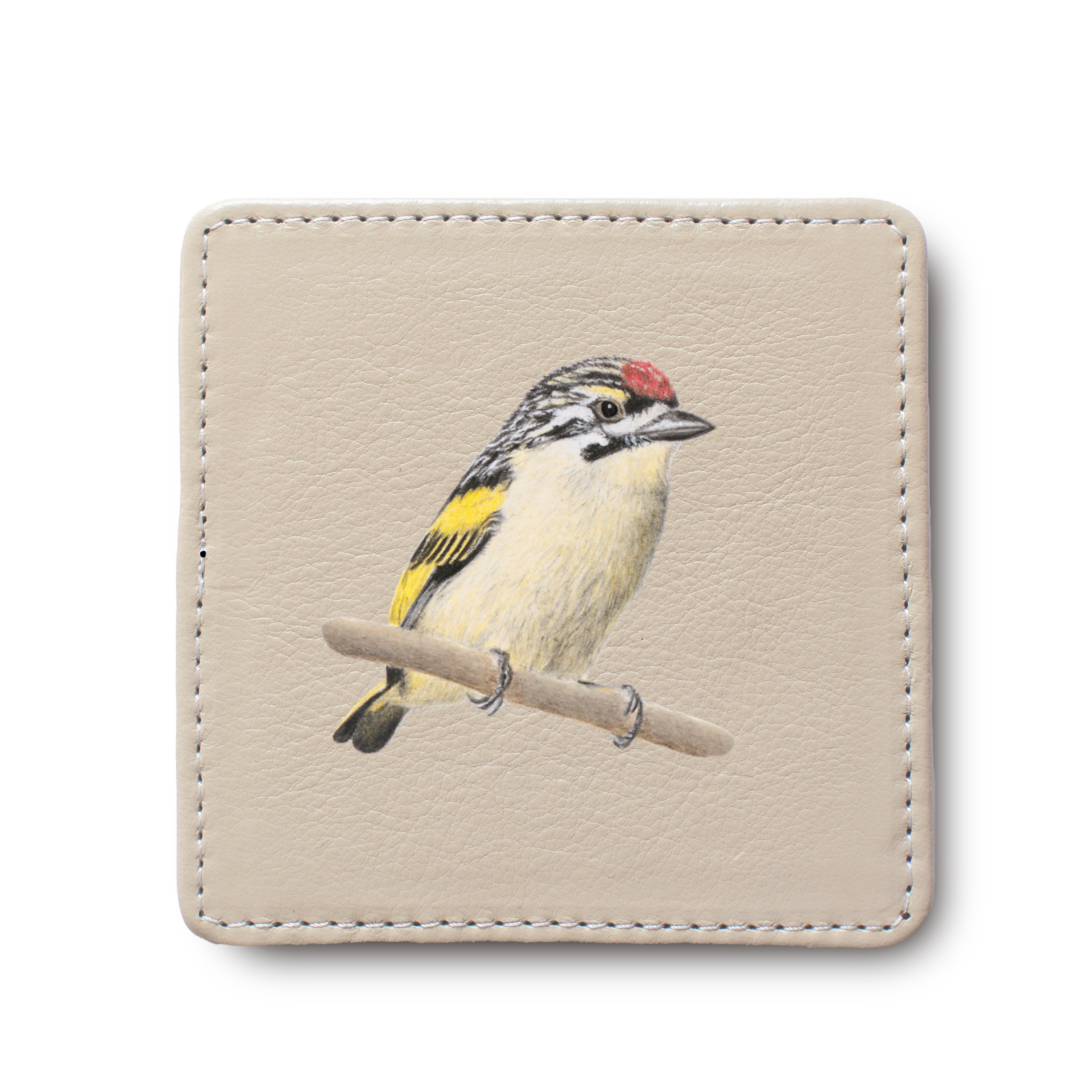 Red Fronted Tinkerbird Bird leather coaster by South African wildlife artist Matthew Bell