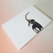 Sable Antelope in Kruger Park canvas artwork