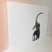 Sable Antelope in Kruger Park canvas artwork