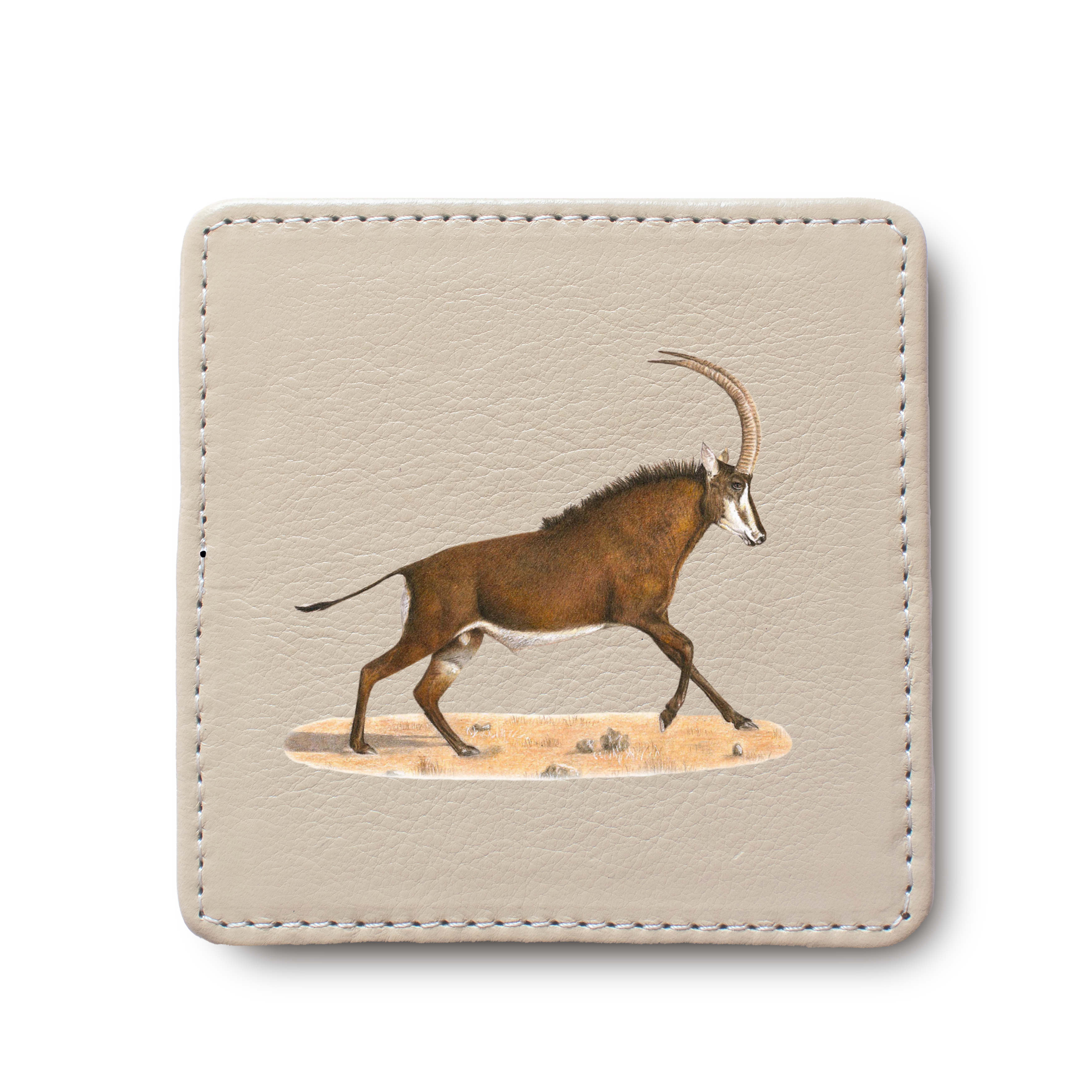 Sable Antelope leather coaster by South African wildlife artist Matthew Bell