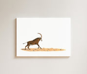 Sable Antelope drawing on canvas by South African wildlife artist Matthew Bell