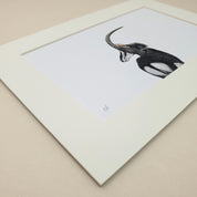 Sable Antelope in the Kruger National Park Lowveld drawing