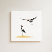 Saddle Billed Storks drawing on canvas by South African wildlife artist Matthew Bell