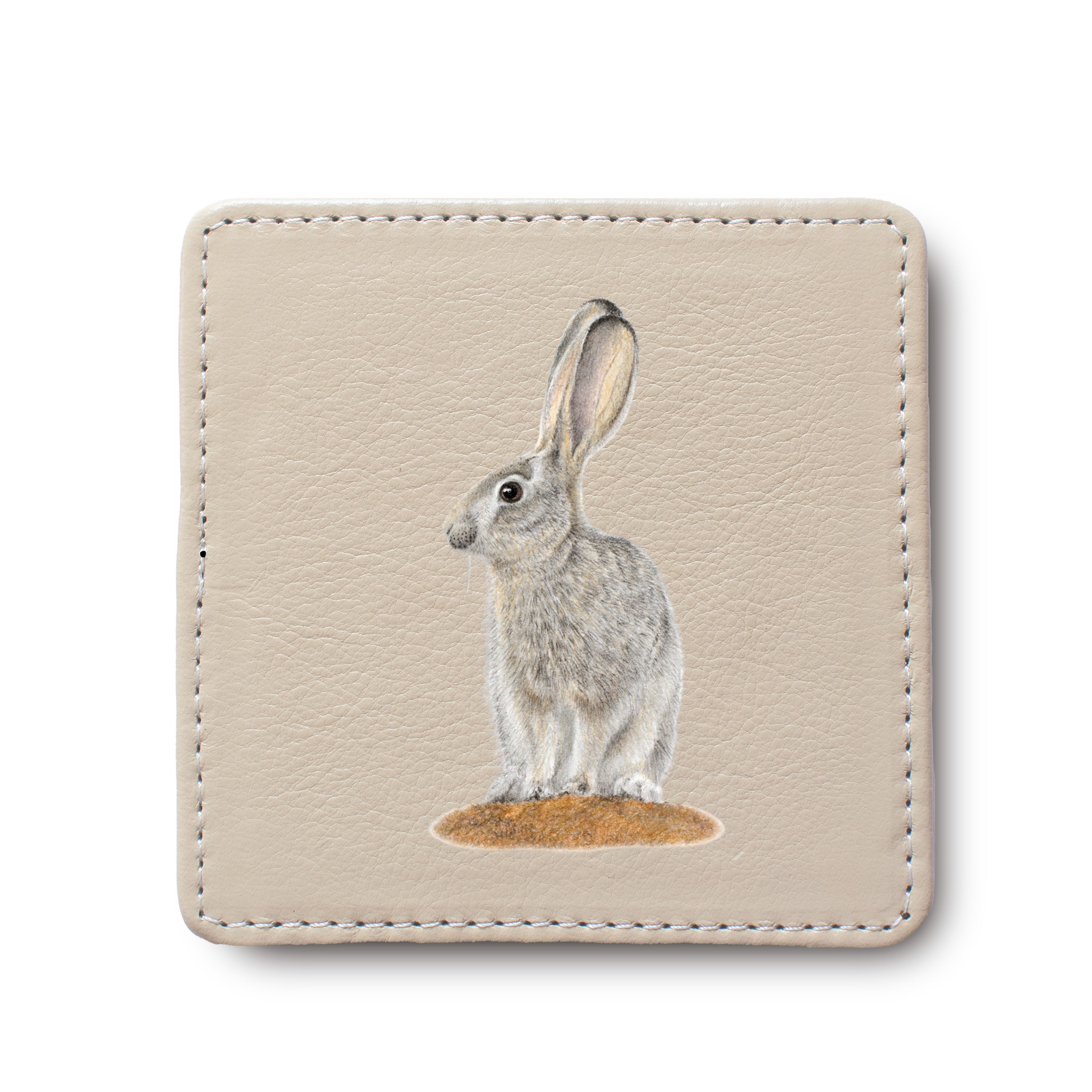 Scrub Hare leather coaster by South African wildlife artist Matthew Bell