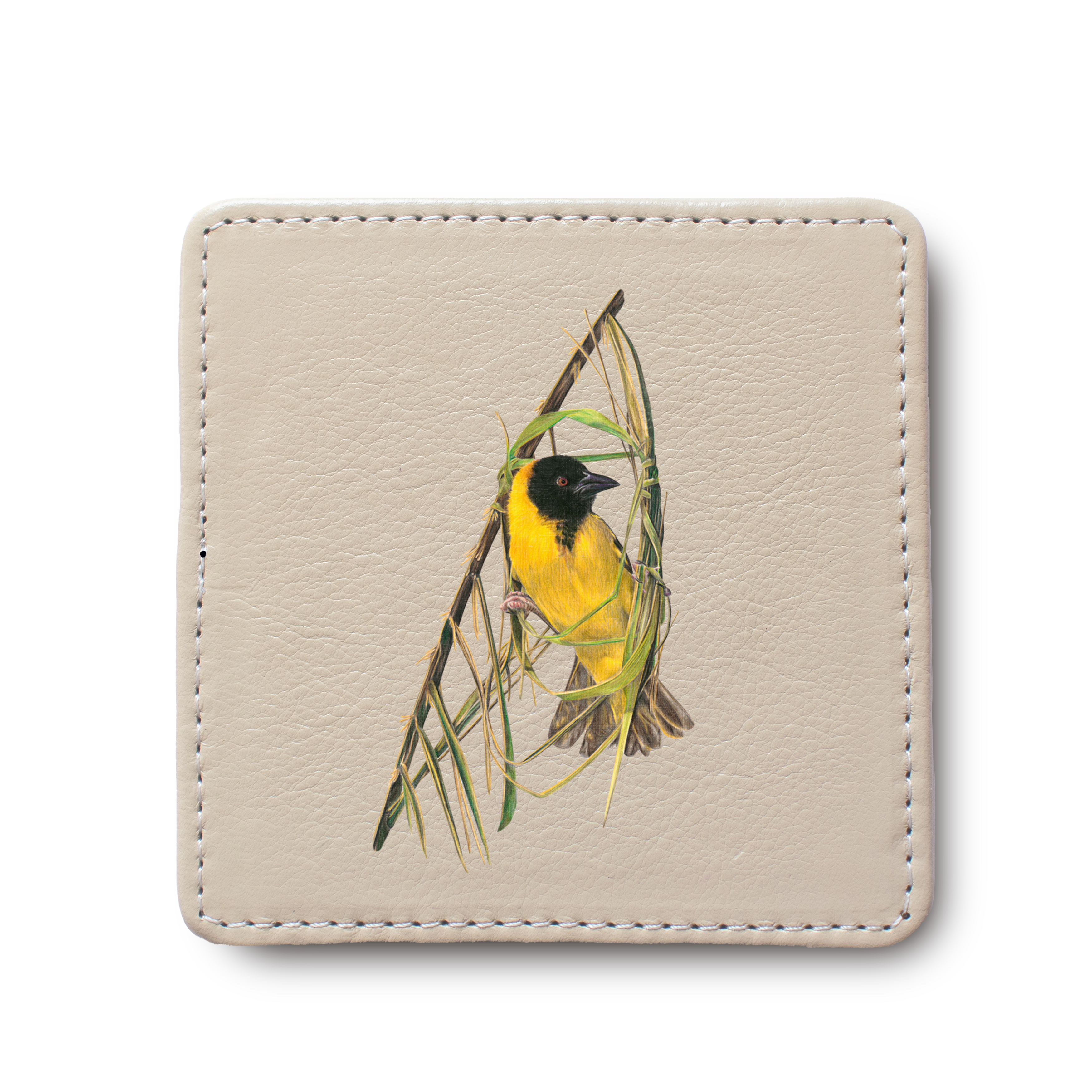 Southern Masked Weaver Bird leather coaster by South African wildlife artist Matthew Bell