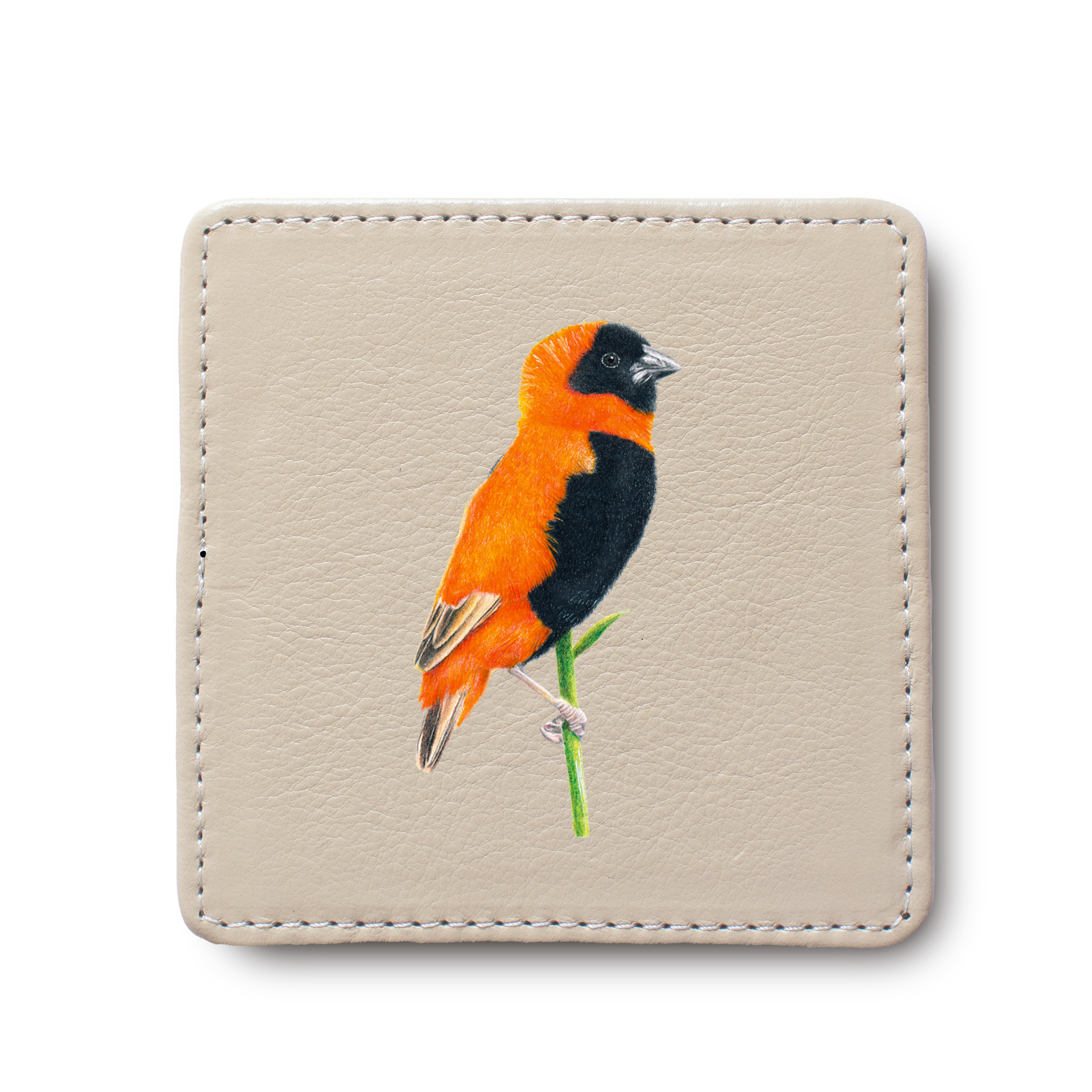 Southern Red Bishop Bird leather coaster by South African wildlife artist Matthew Bell
