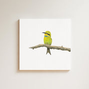 Swallow Tailed Bee Eater drawing on canvas by South African wildlife artist Matthew Bell