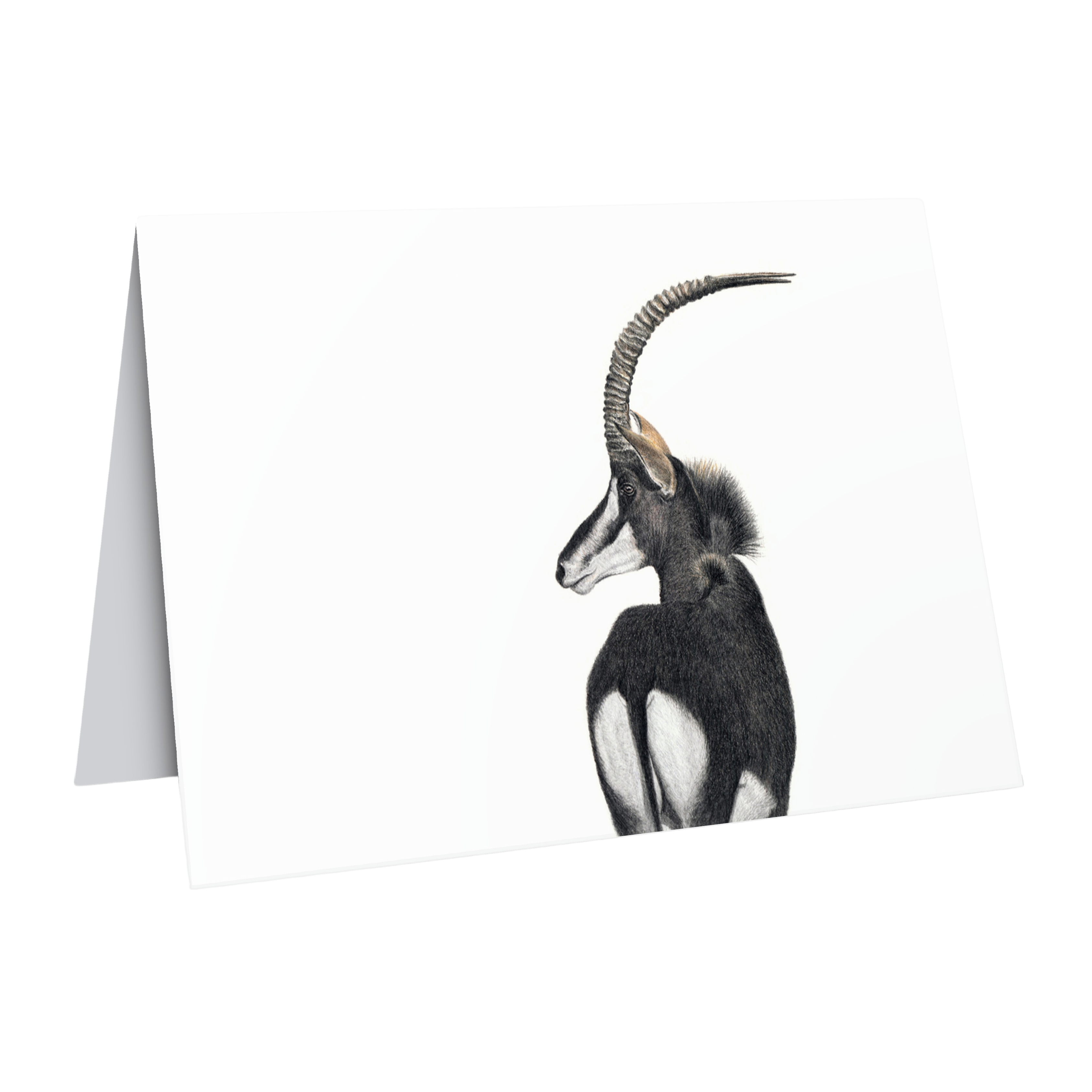 Fine art sable antelope wildlife greeting card