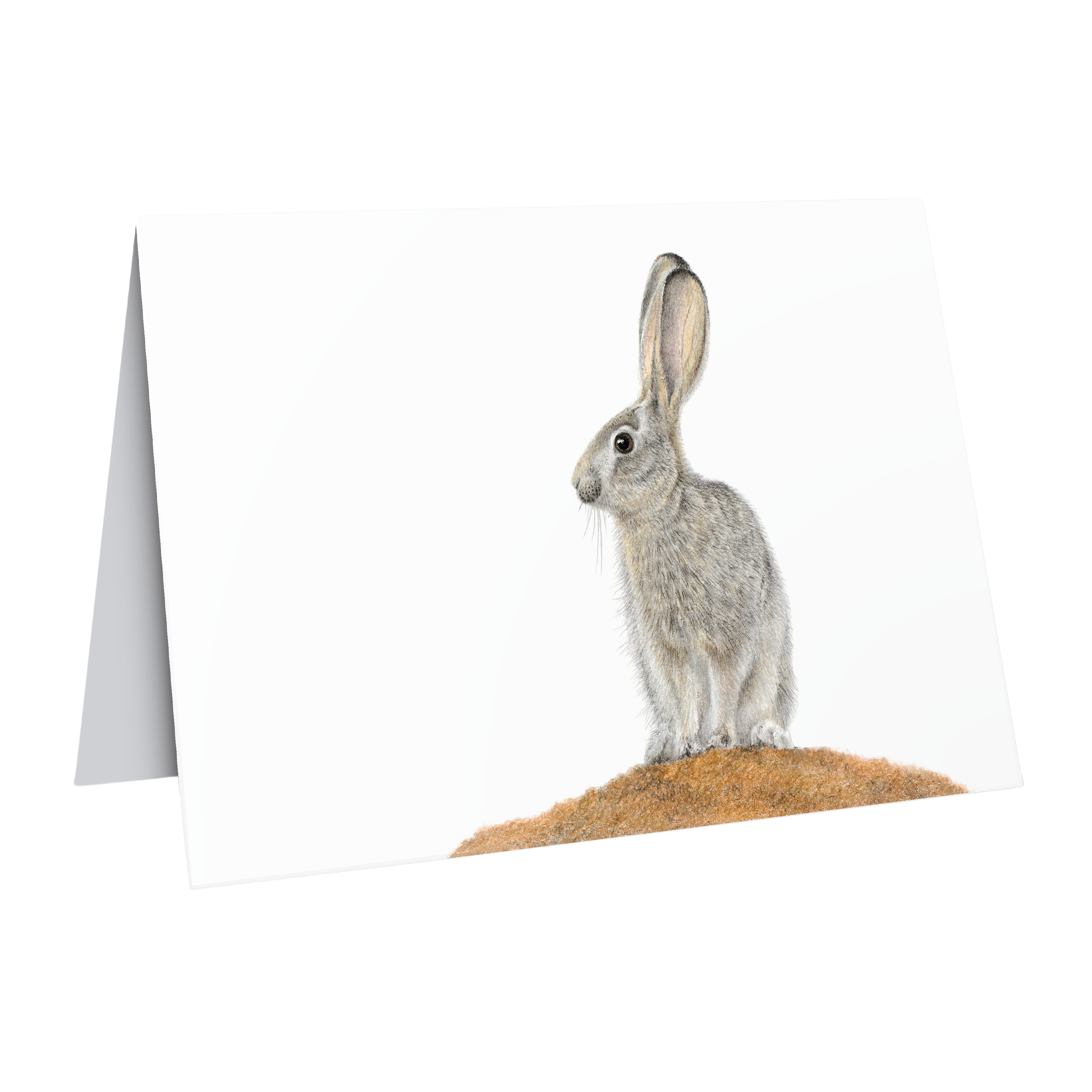 Fine art wildlife greeting card