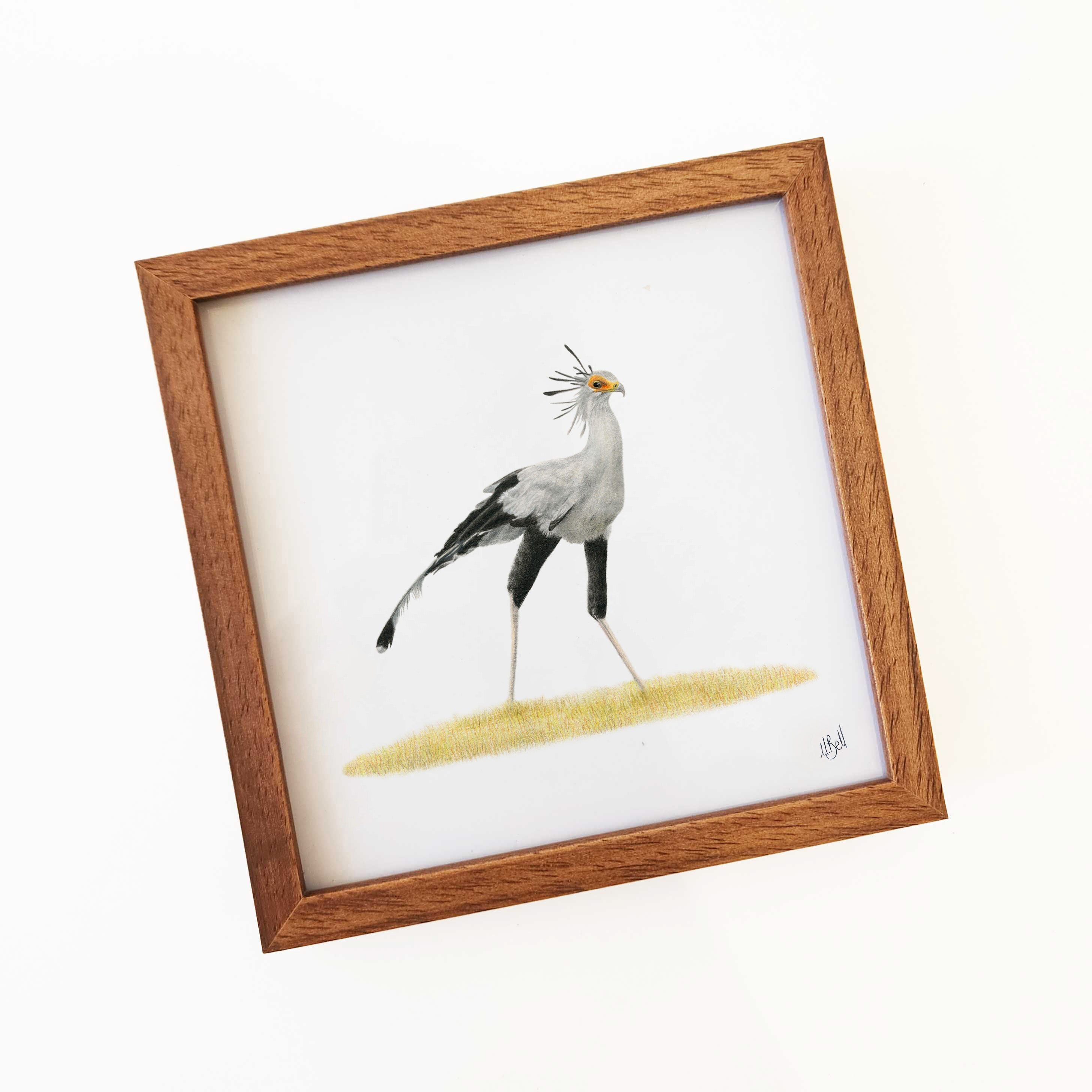 Artwork of a secretary bird in South Africa